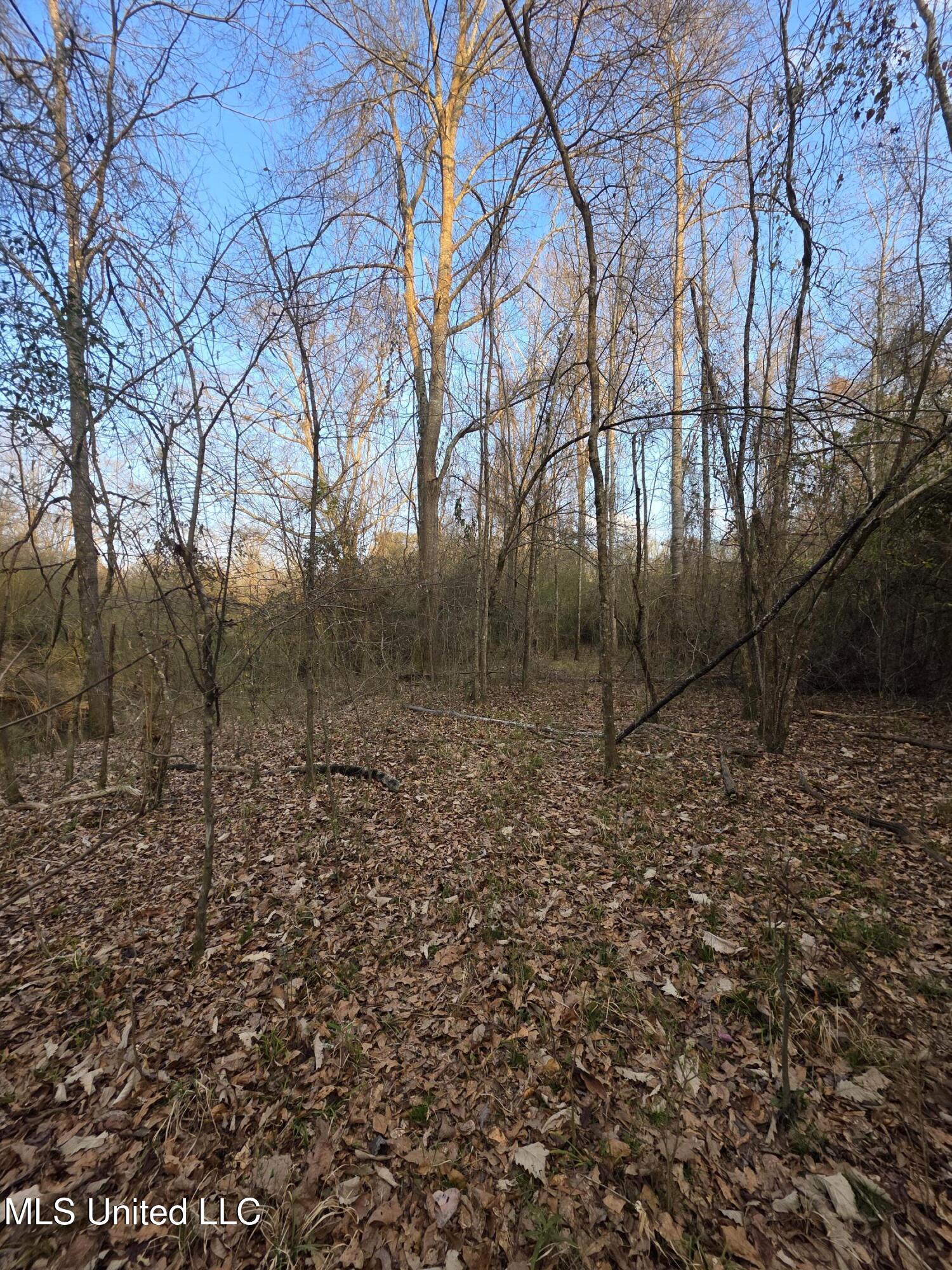 U.s. Highway 51 Property Photo 12