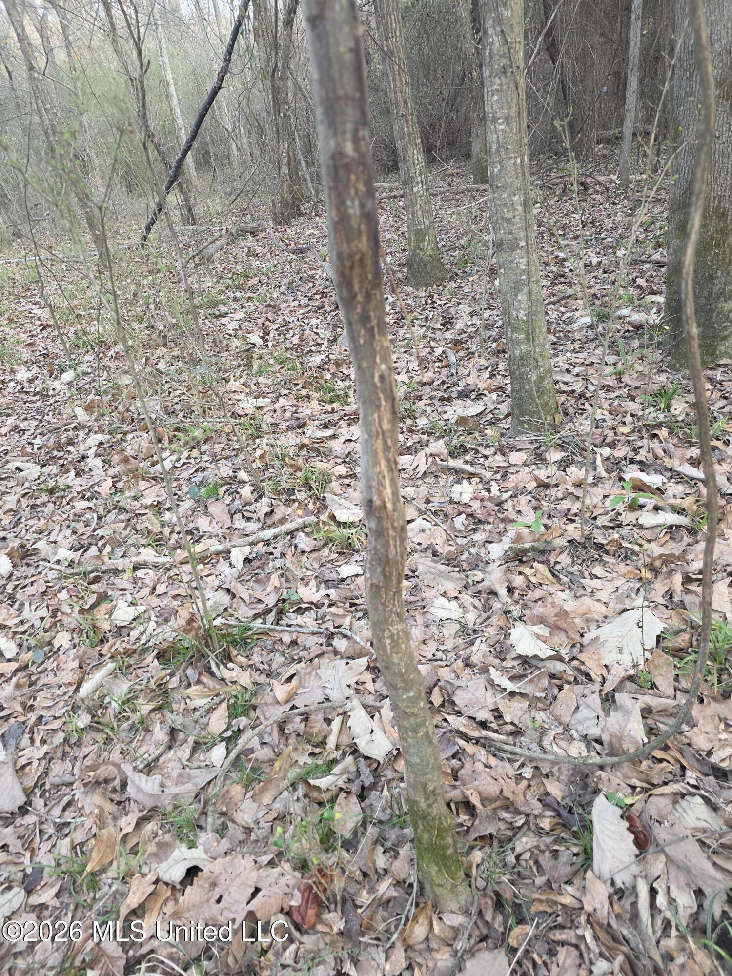 U.s. Highway 51 Property Photo 13