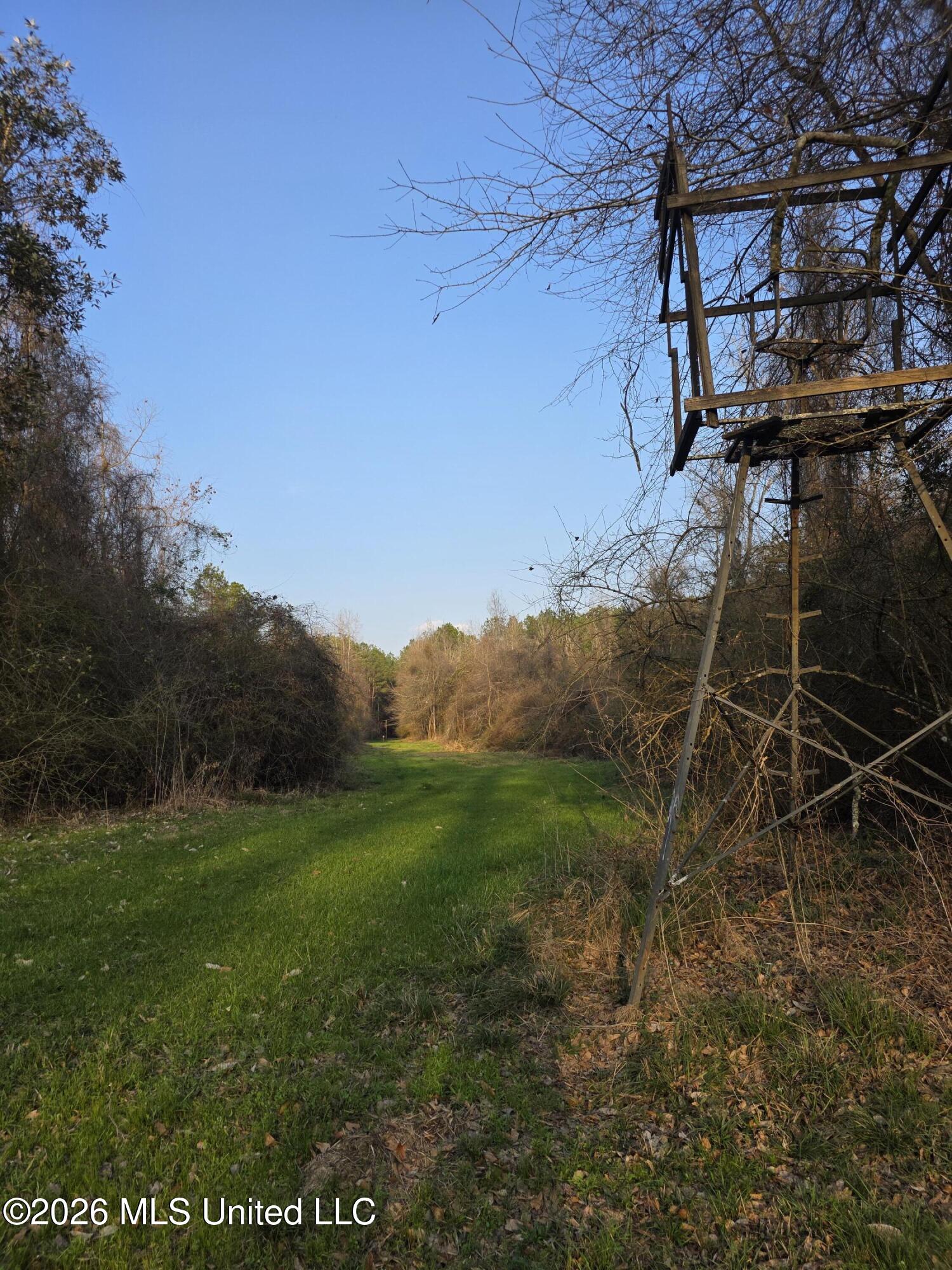 U.s. Highway 51 Property Photo 16