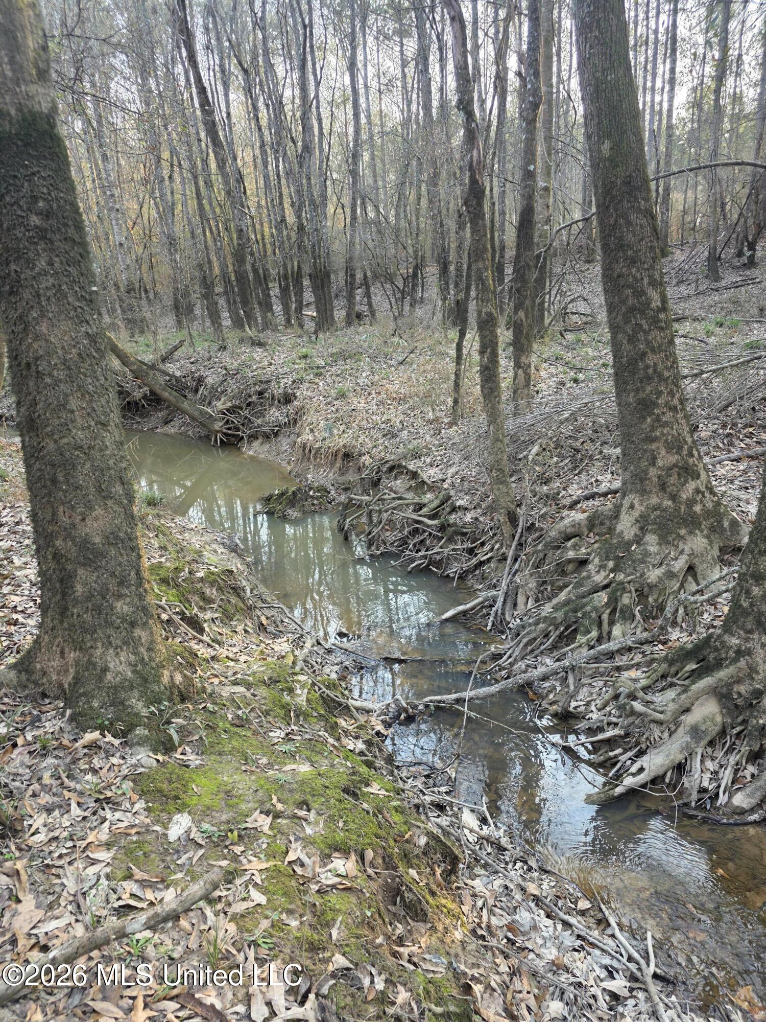 U.s. Highway 51 Property Photo 23
