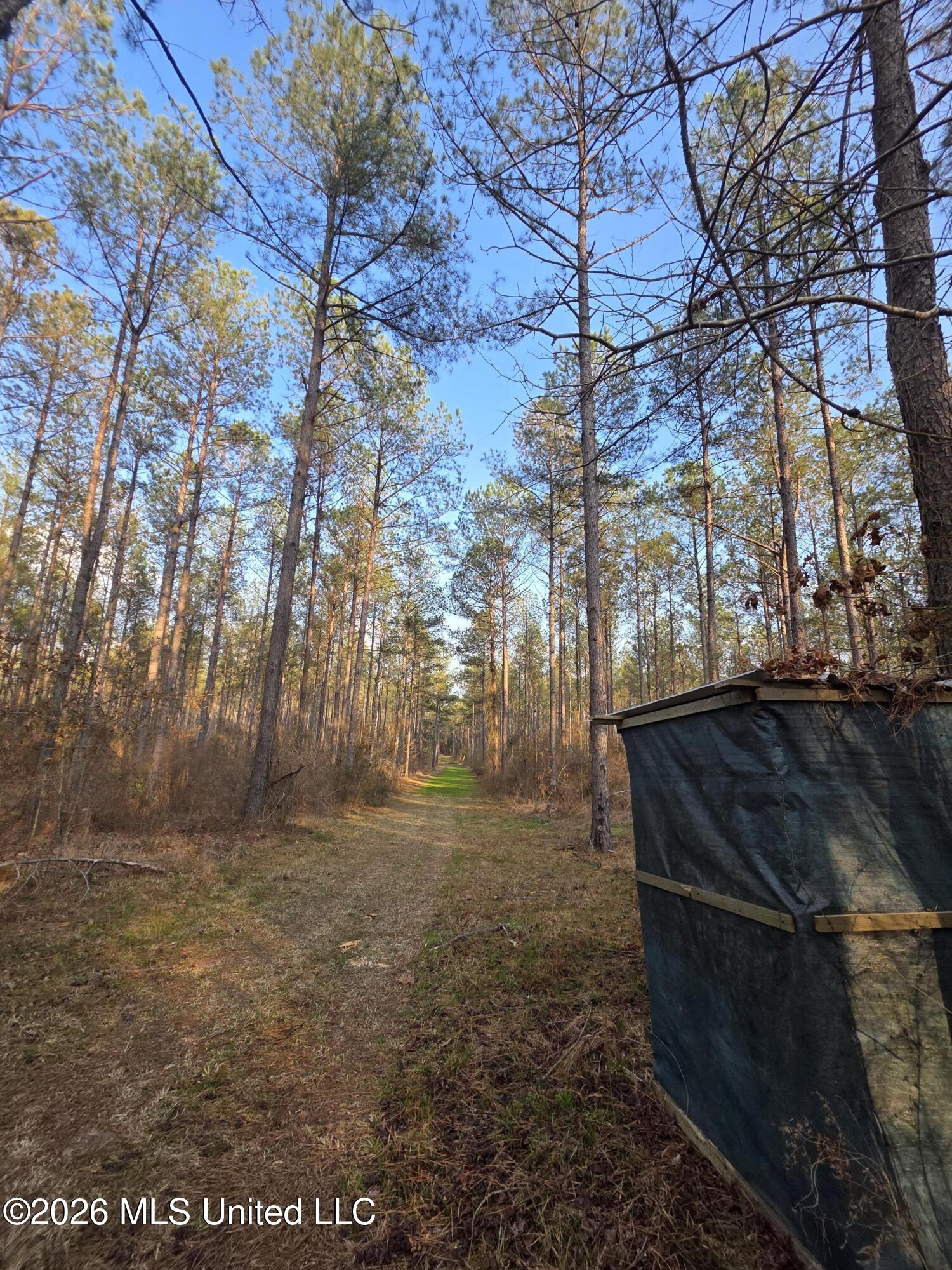 U.s. Highway 51 Property Photo 24