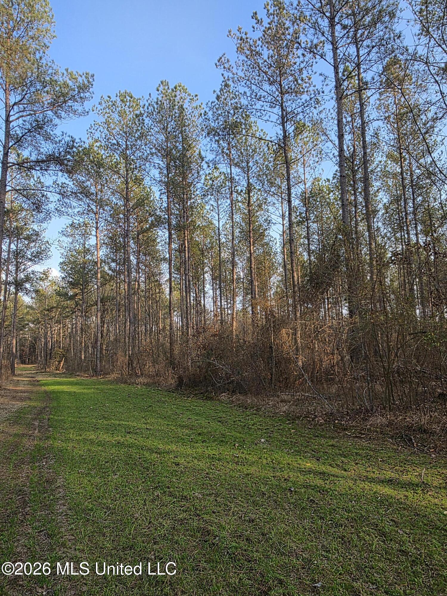 U.s. Highway 51 Property Photo 25