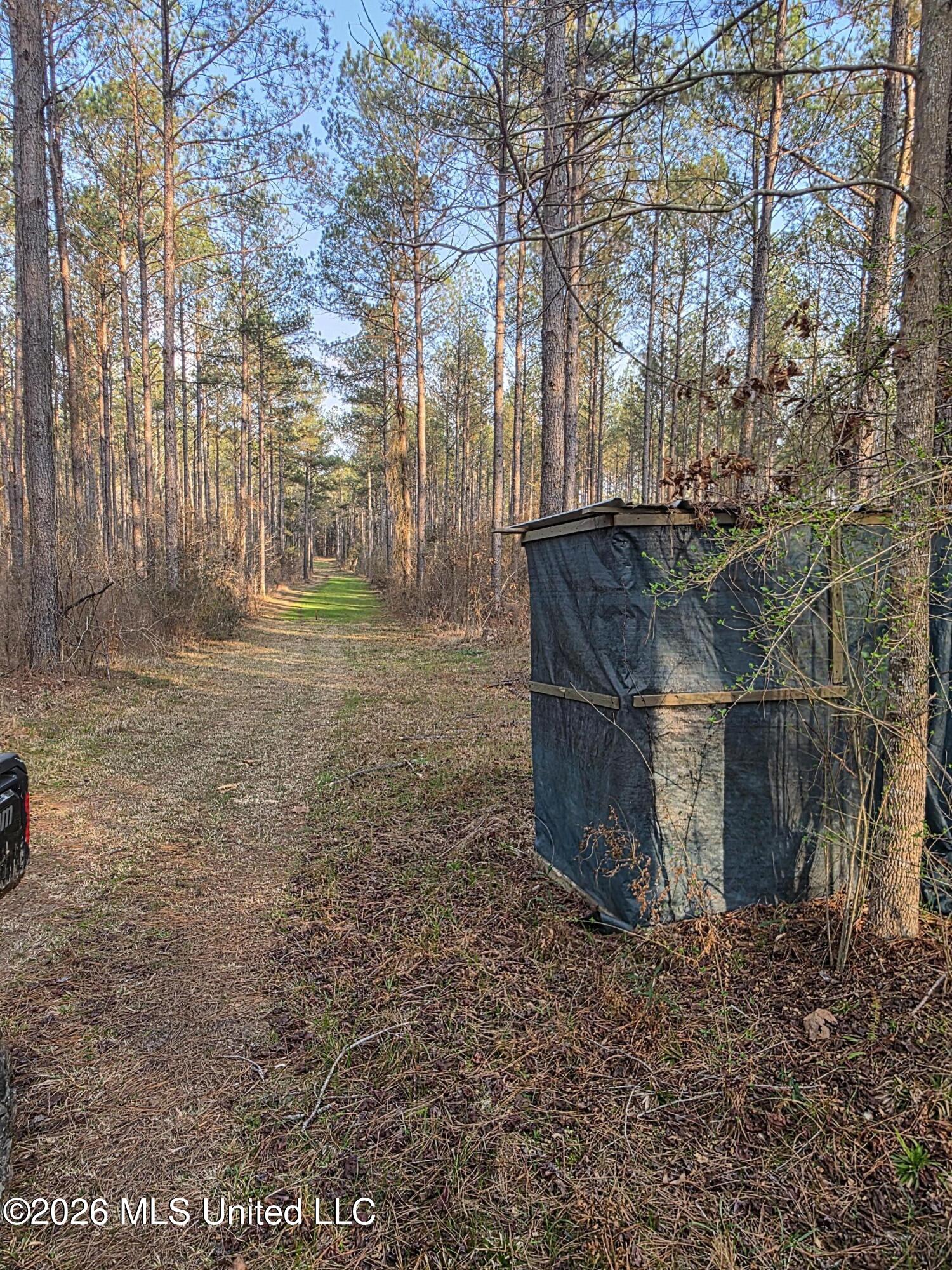 U.s. Highway 51 Property Photo 26