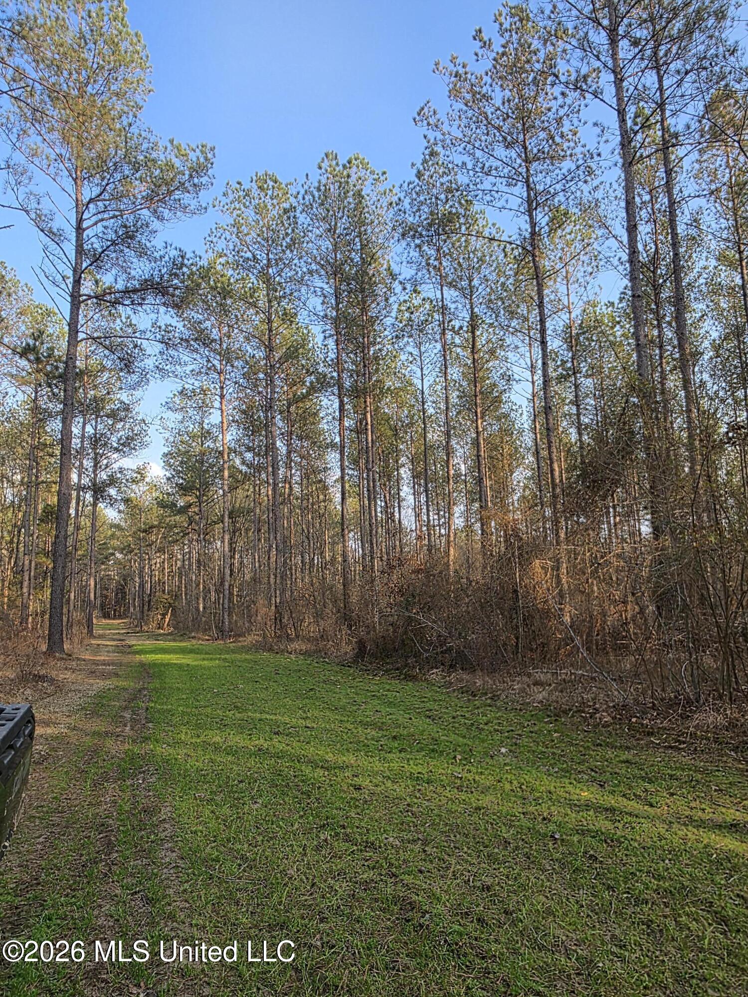 U.s. Highway 51 Property Photo 27