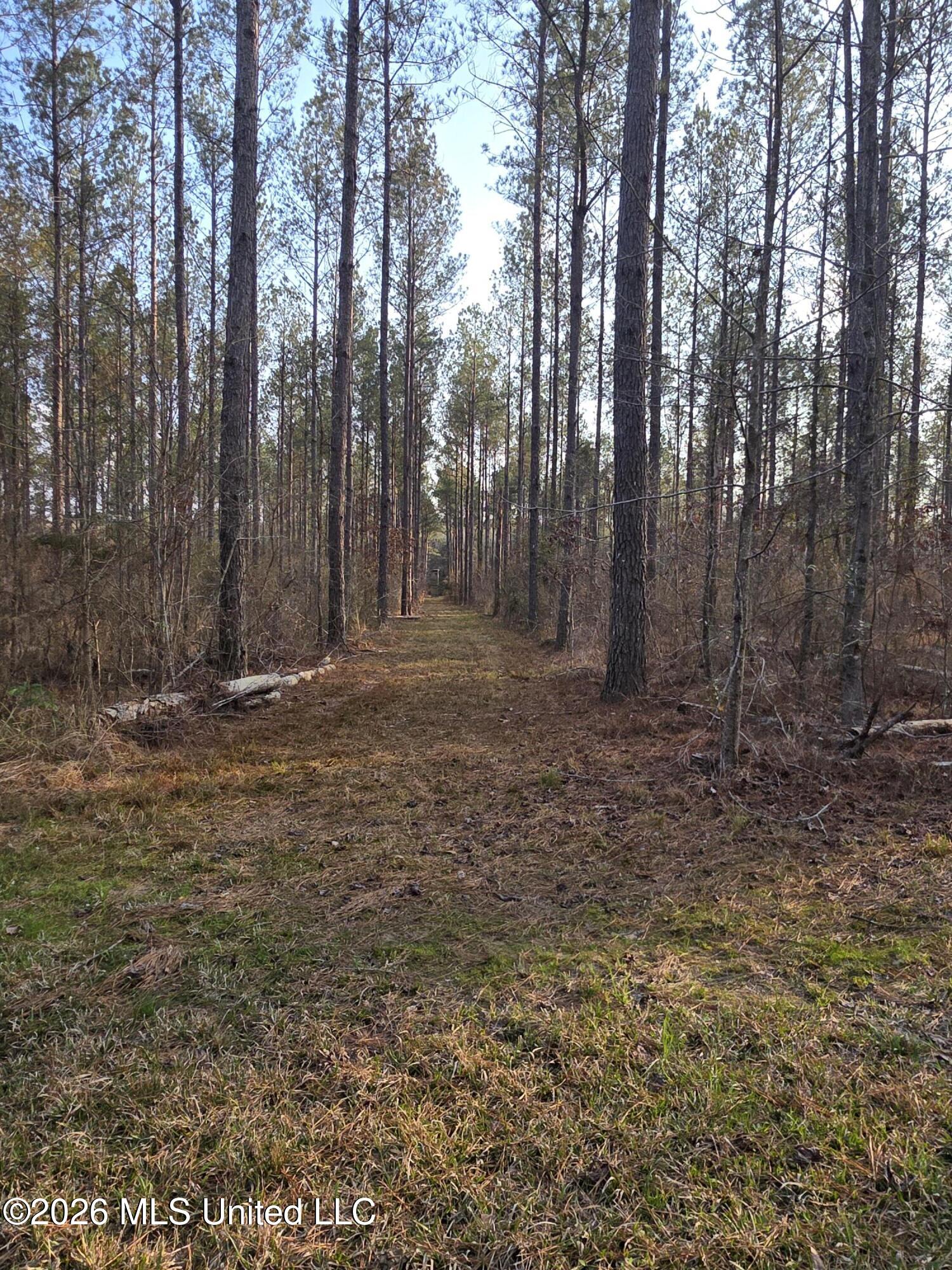 U.s. Highway 51 Property Photo 28