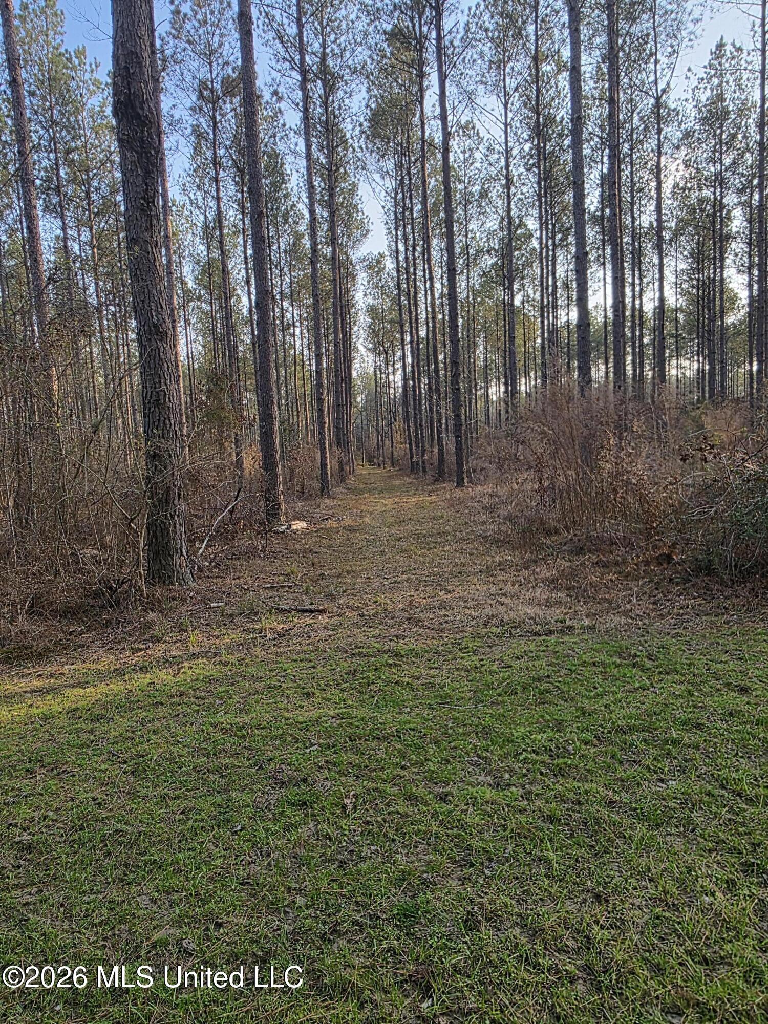 U.s. Highway 51 Property Photo 29
