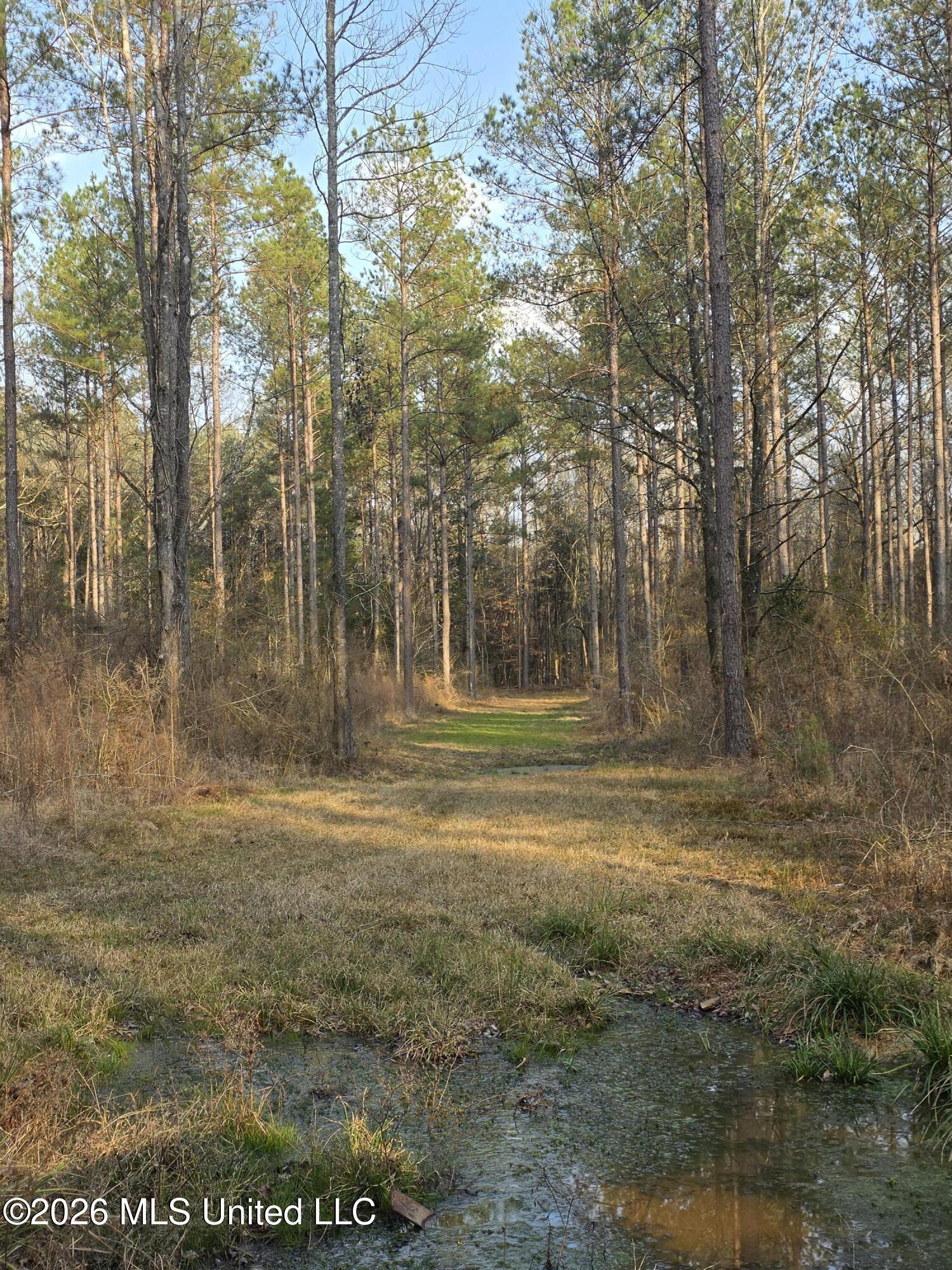 U.s. Highway 51 Property Photo 33