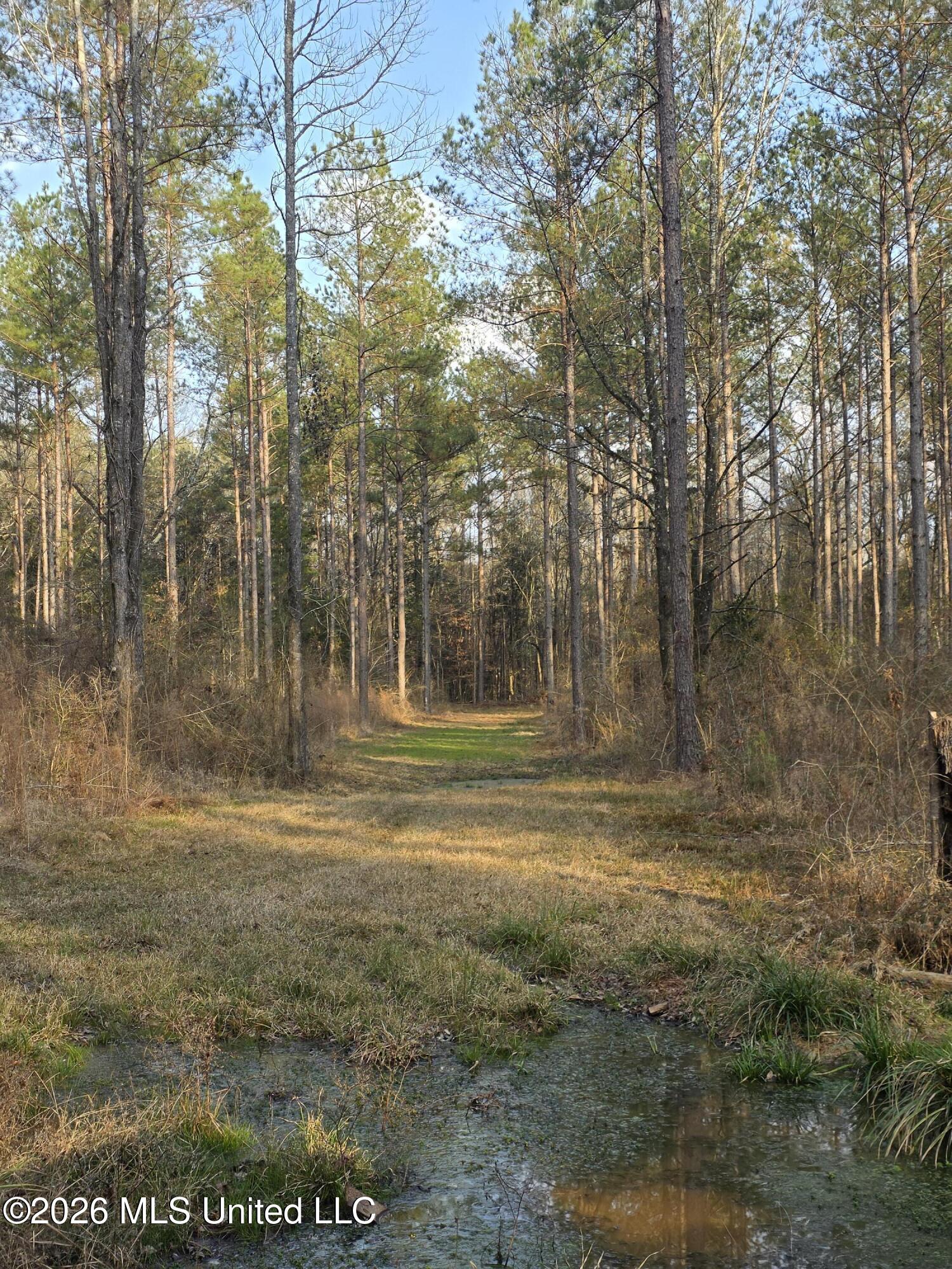 U.s. Highway 51 Property Photo 34