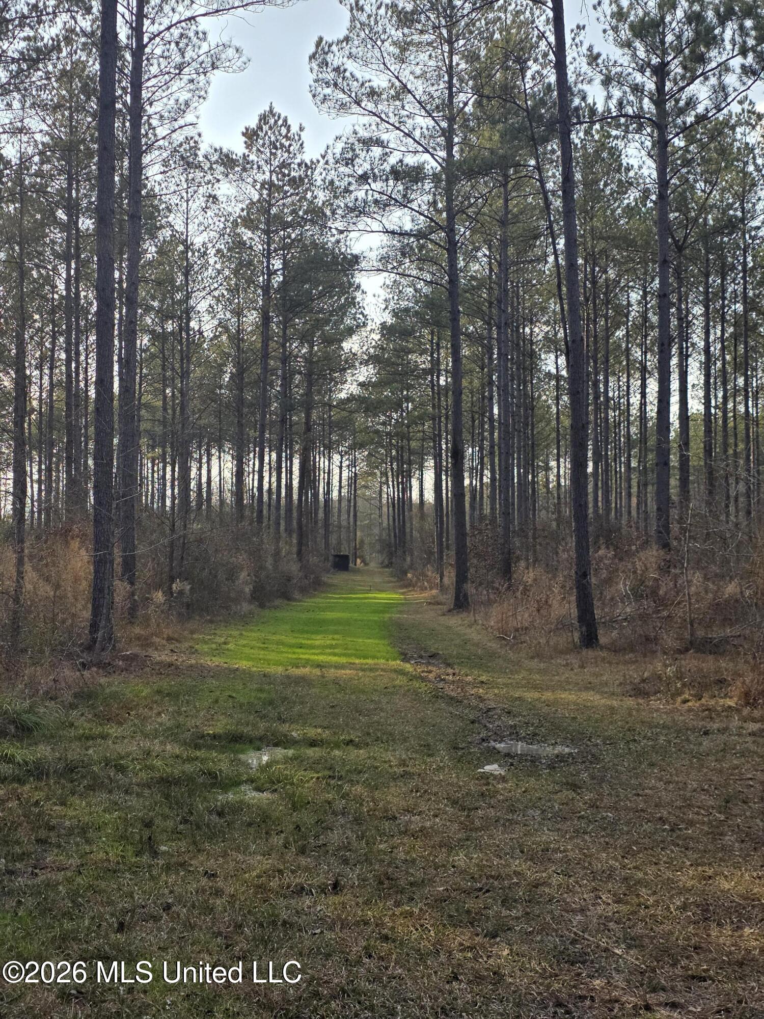 U.s. Highway 51 Property Photo 35