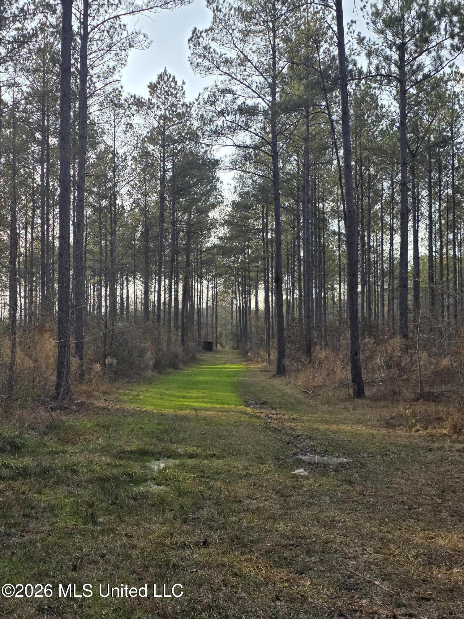 U.s. Highway 51 Property Photo 36