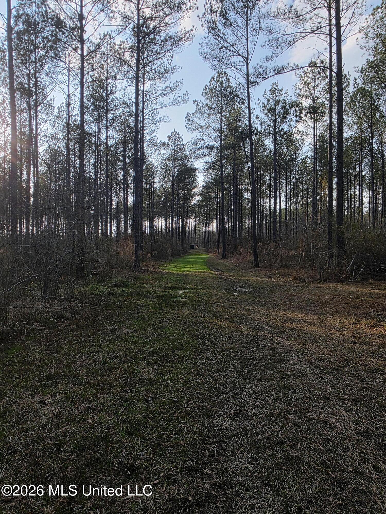 U.s. Highway 51 Property Photo 37