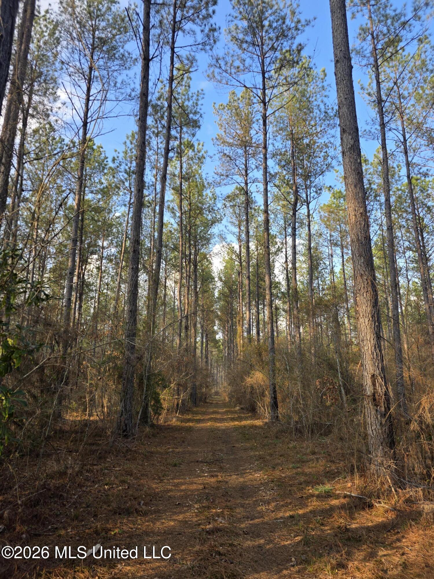 U.s. Highway 51 Property Photo 38