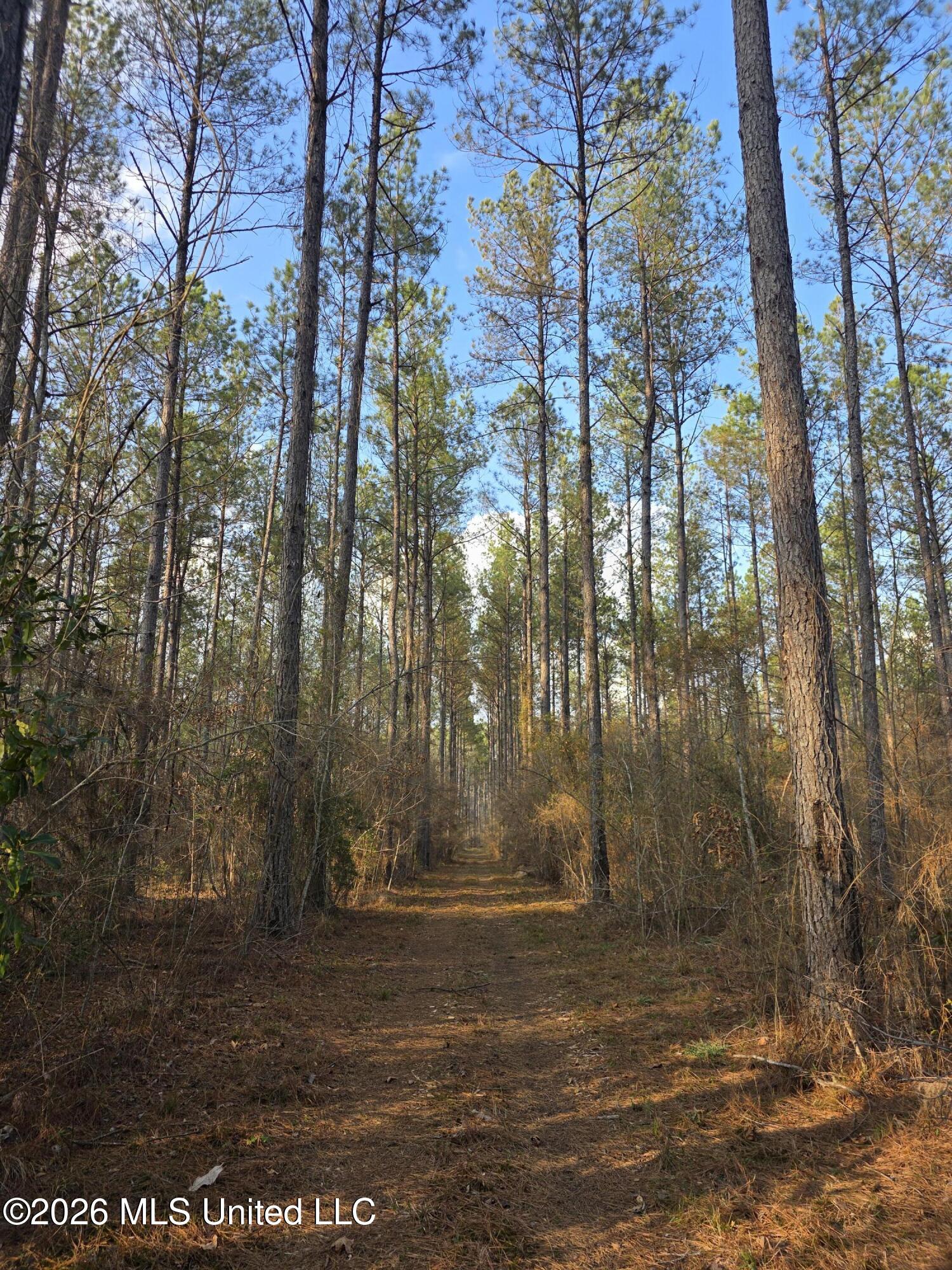 U.s. Highway 51 Property Photo 39