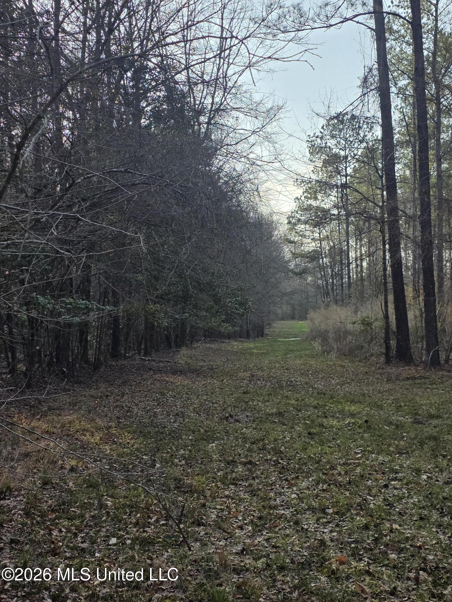 U.s. Highway 51 Property Photo 41