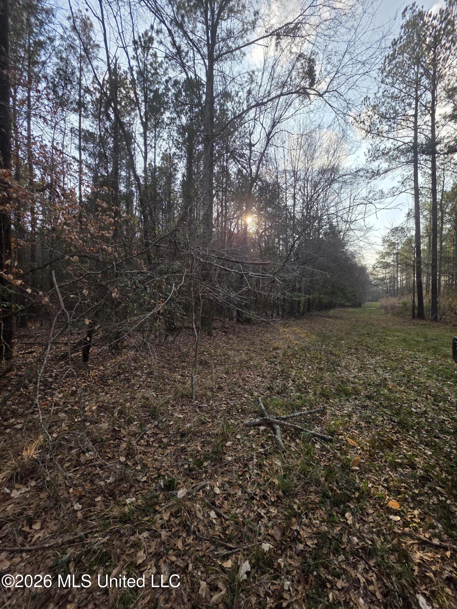 U.s. Highway 51 Property Photo 42