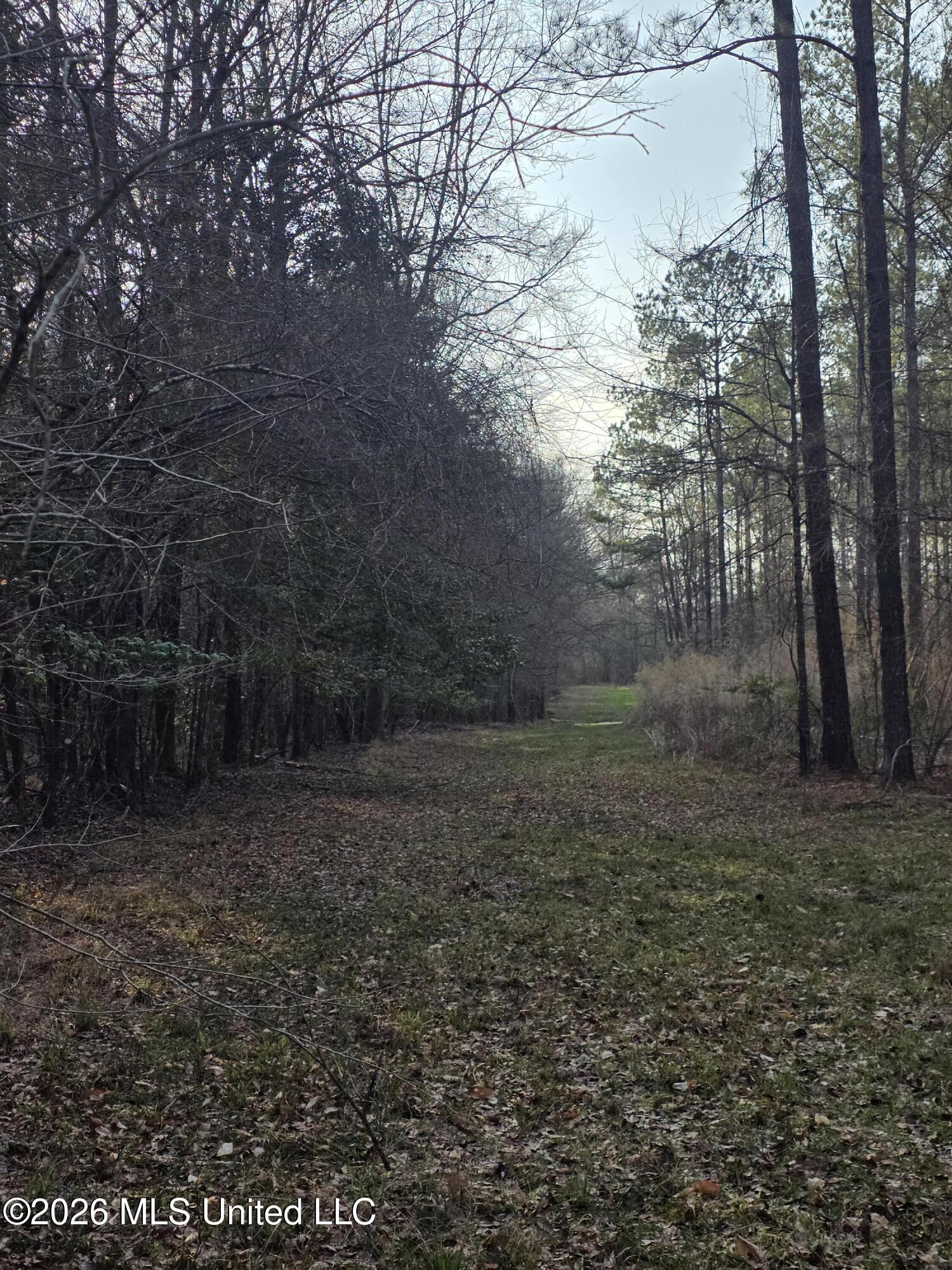 U.s. Highway 51 Property Photo 43