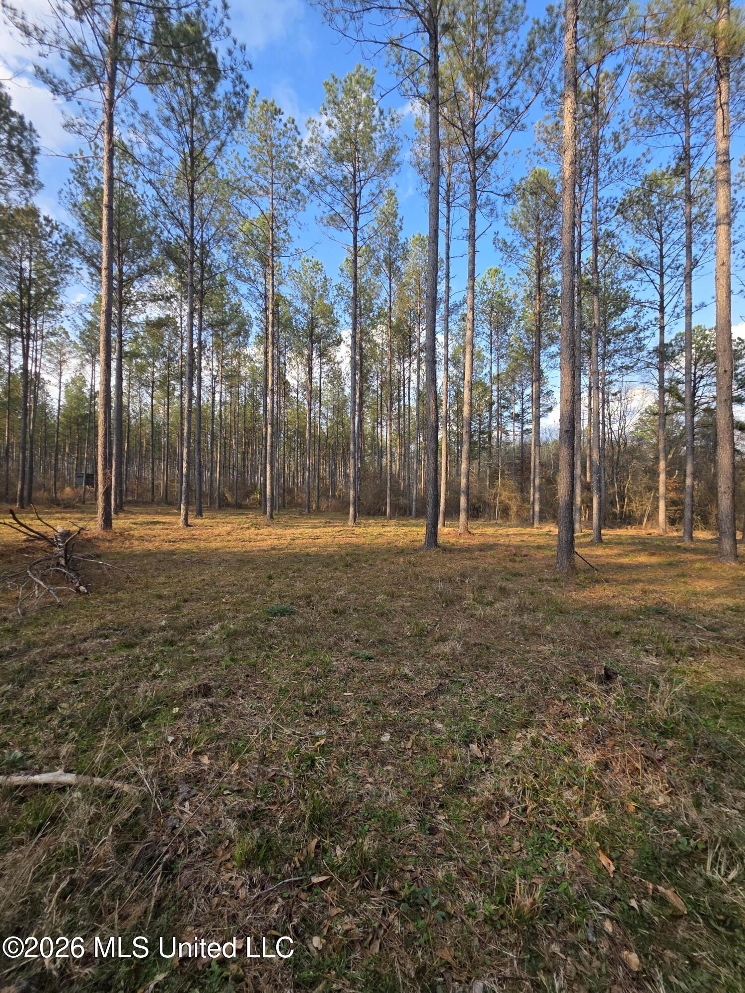 U.s. Highway 51 Property Photo 44