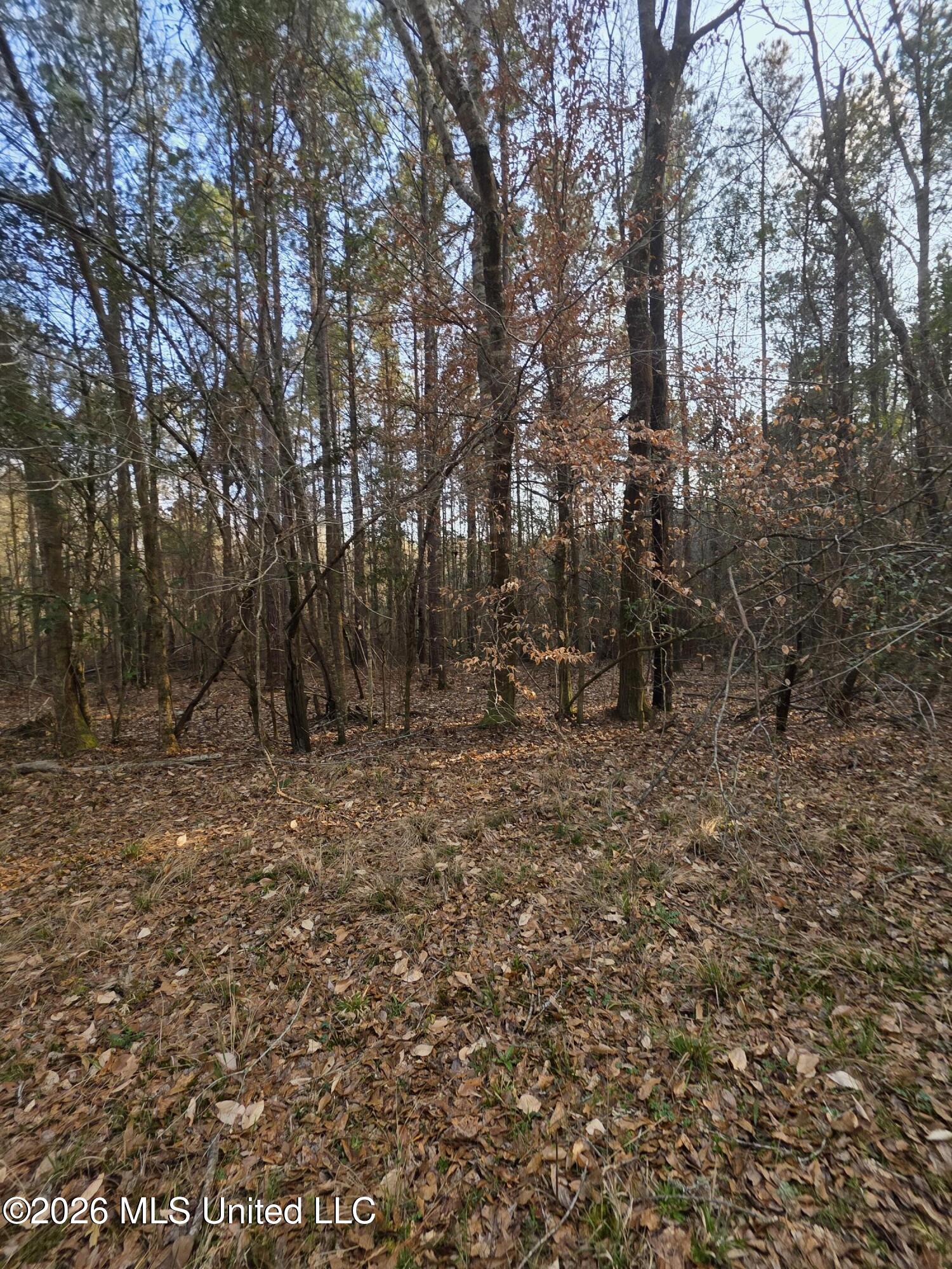 U.s. Highway 51 Property Photo 45
