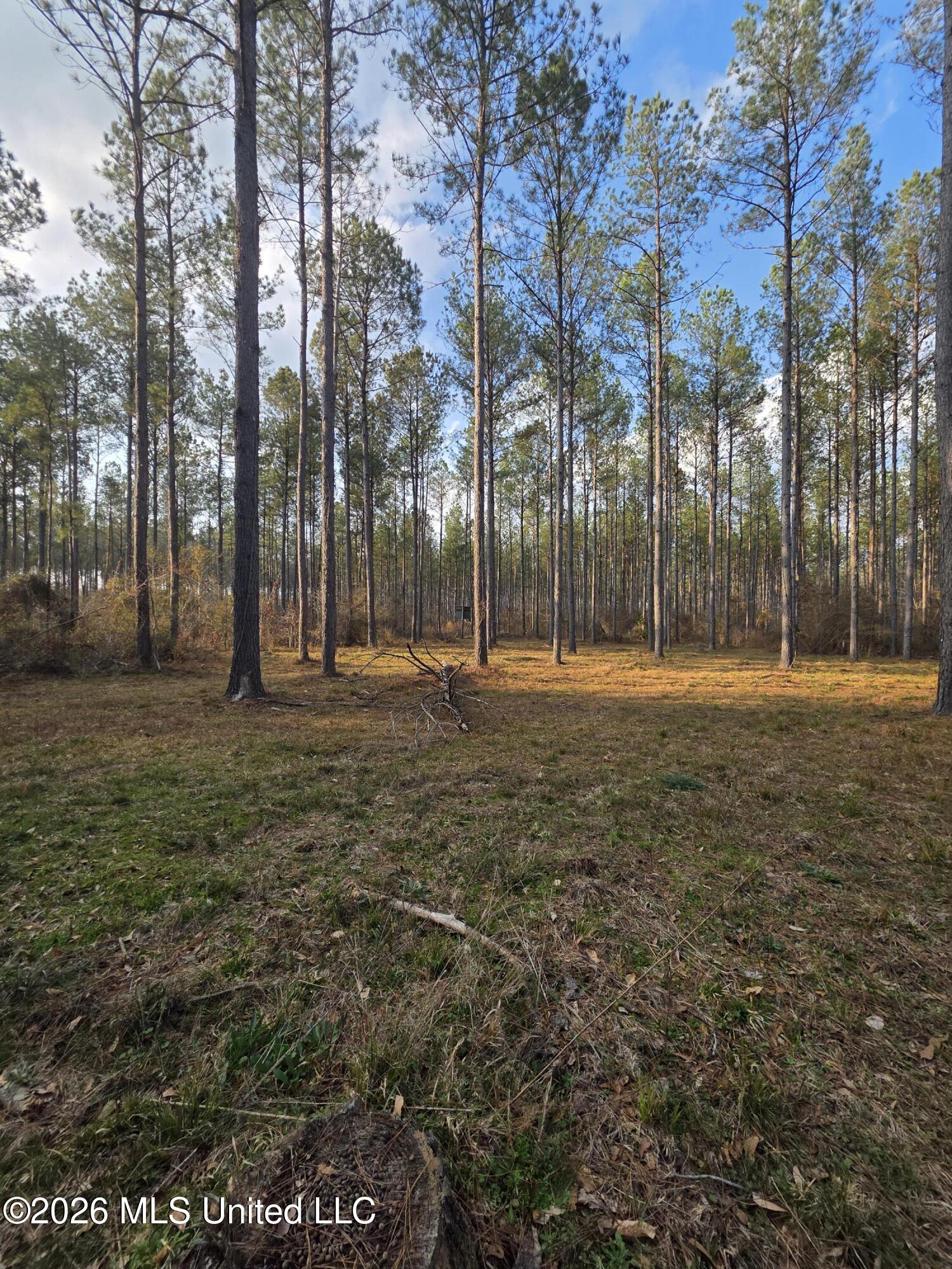 U.s. Highway 51 Property Photo 46