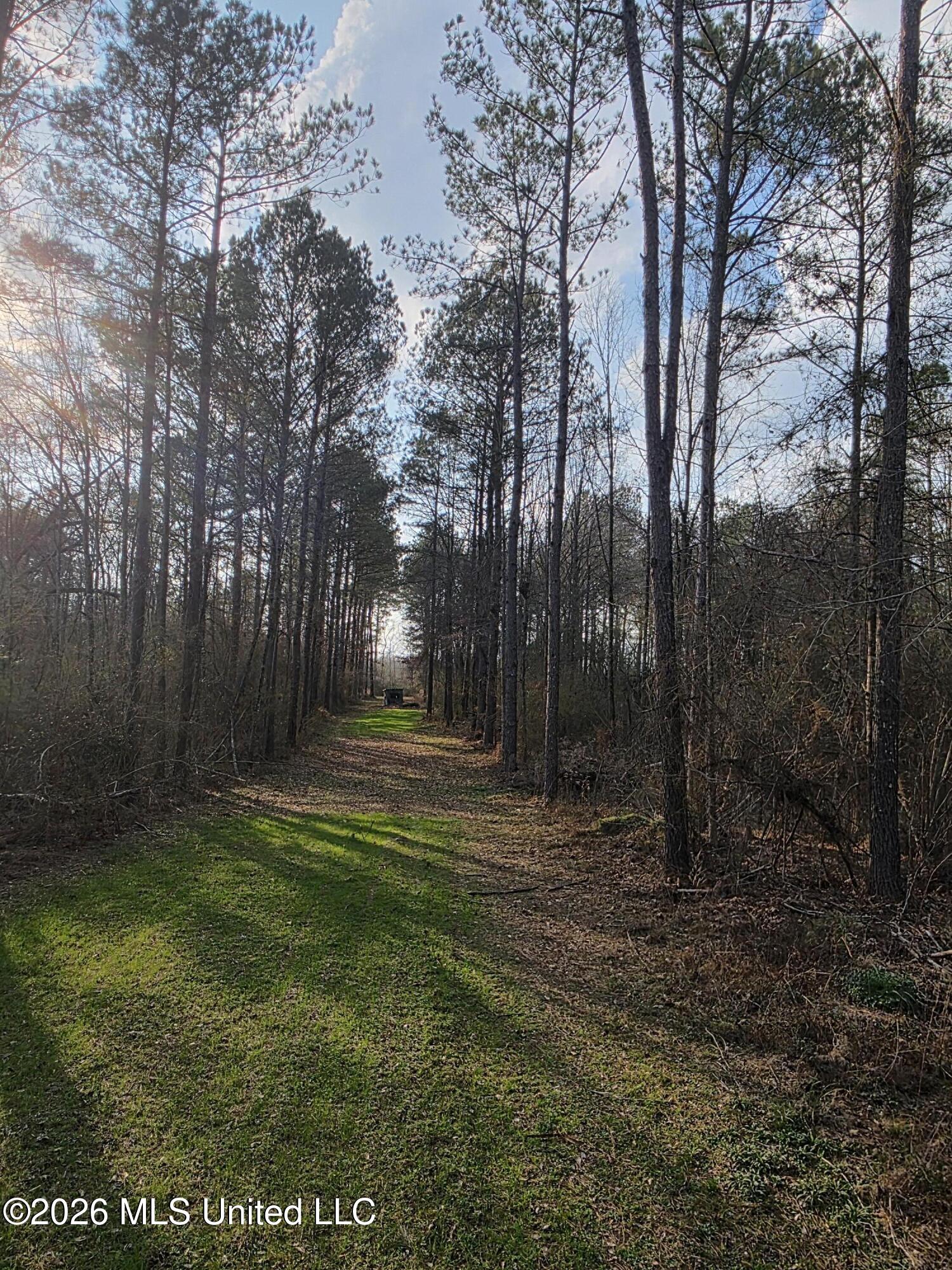 U.s. Highway 51 Property Photo 48