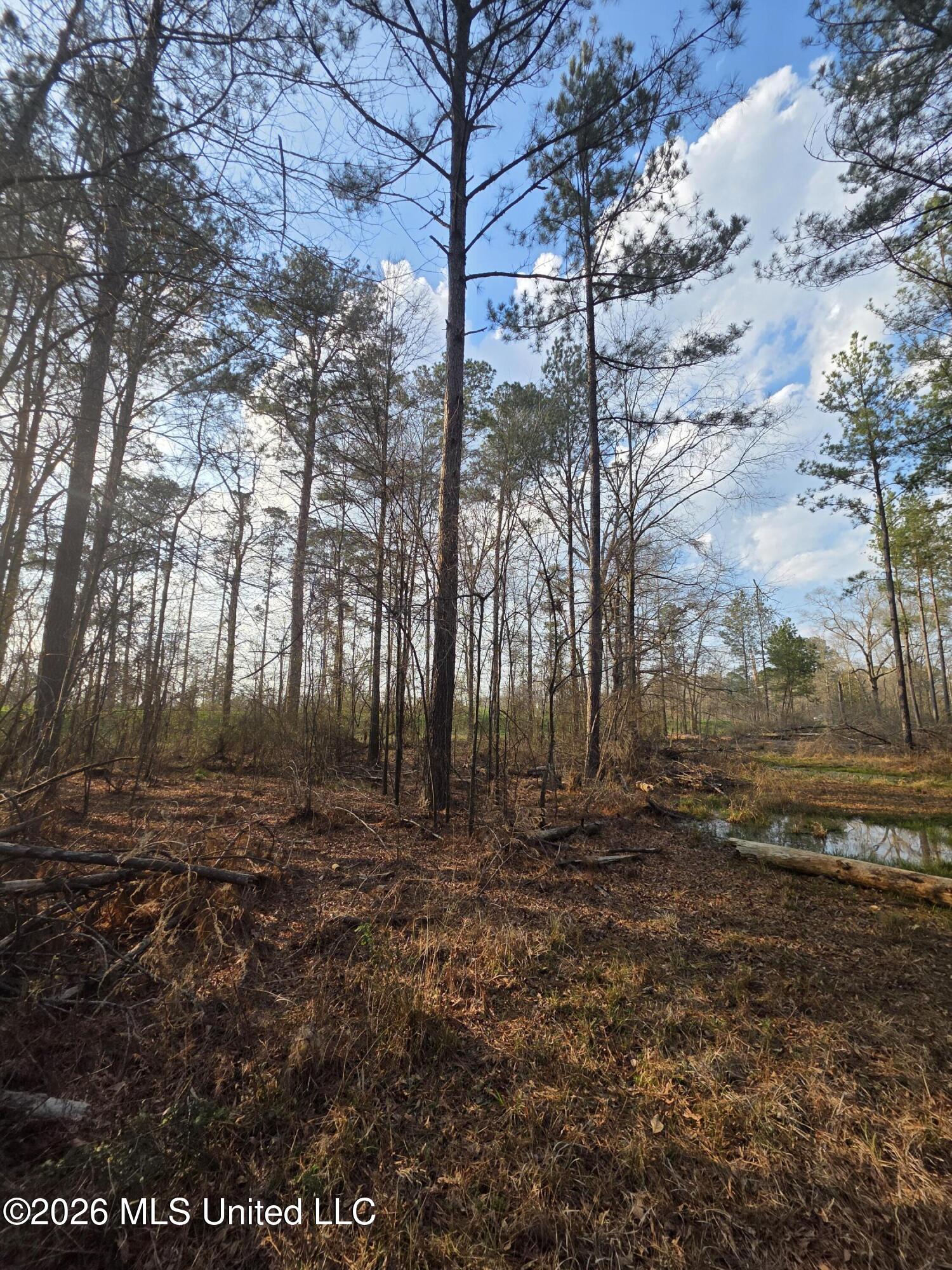 U.s. Highway 51 Property Photo 50