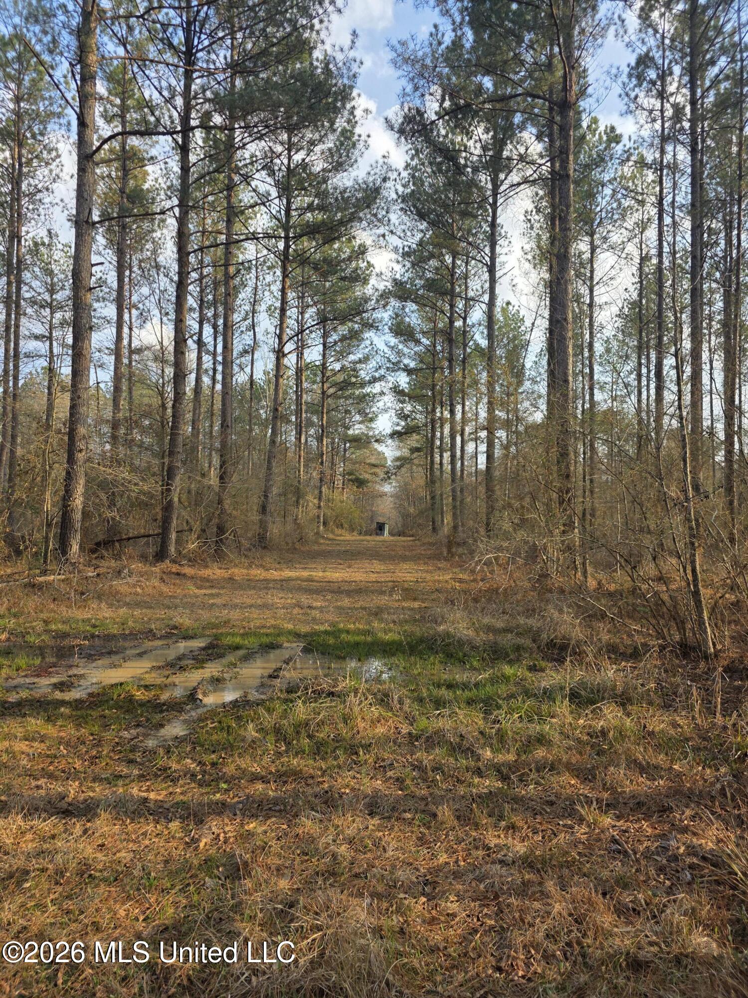 U.s. Highway 51 Property Photo 52
