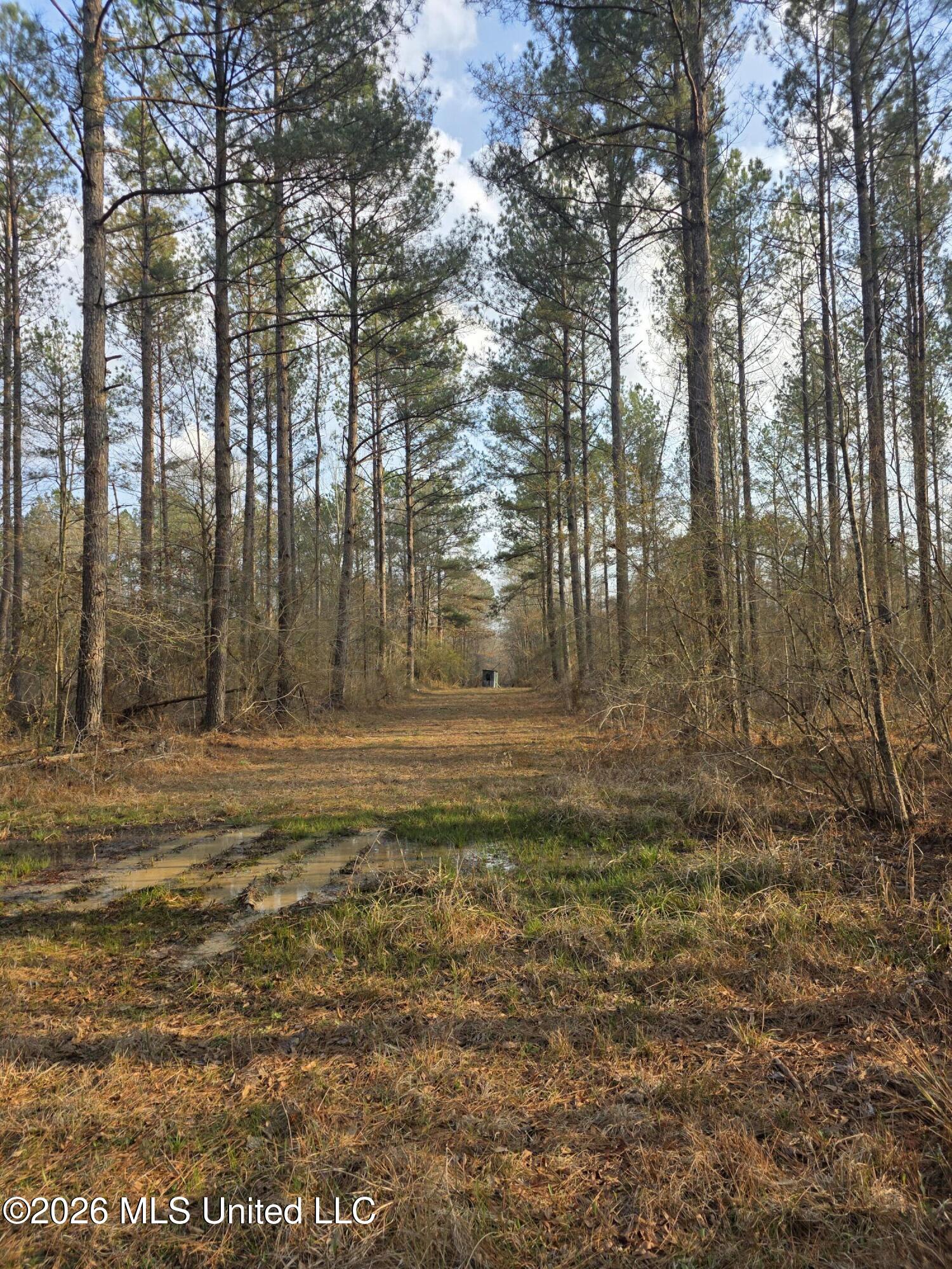 U.s. Highway 51 Property Photo 53