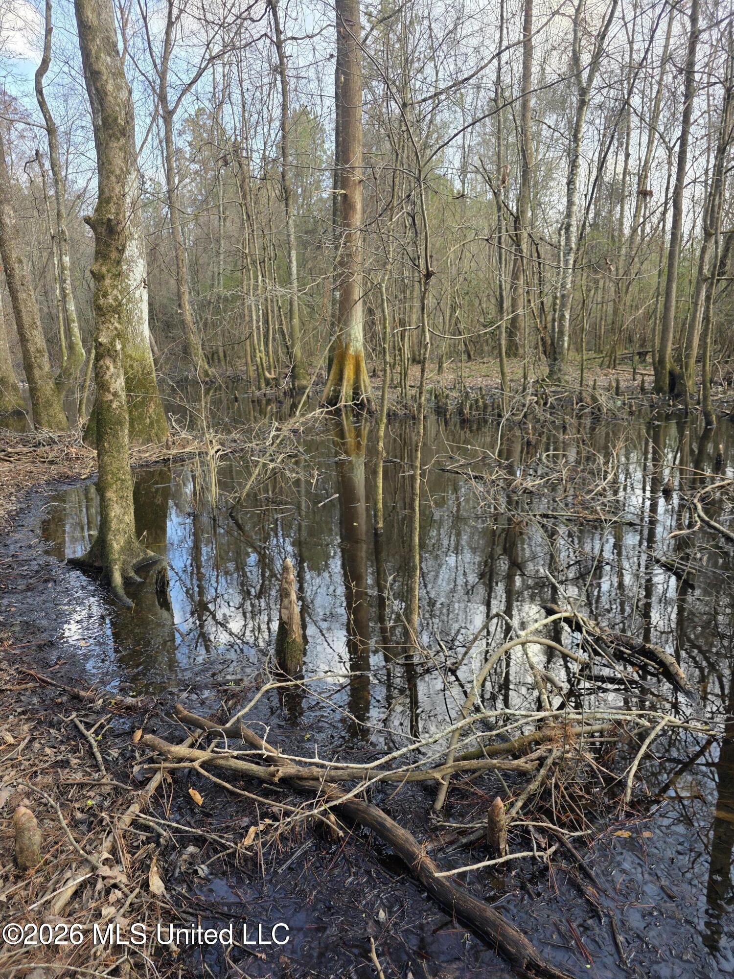 U.s. Highway 51 Property Photo 60