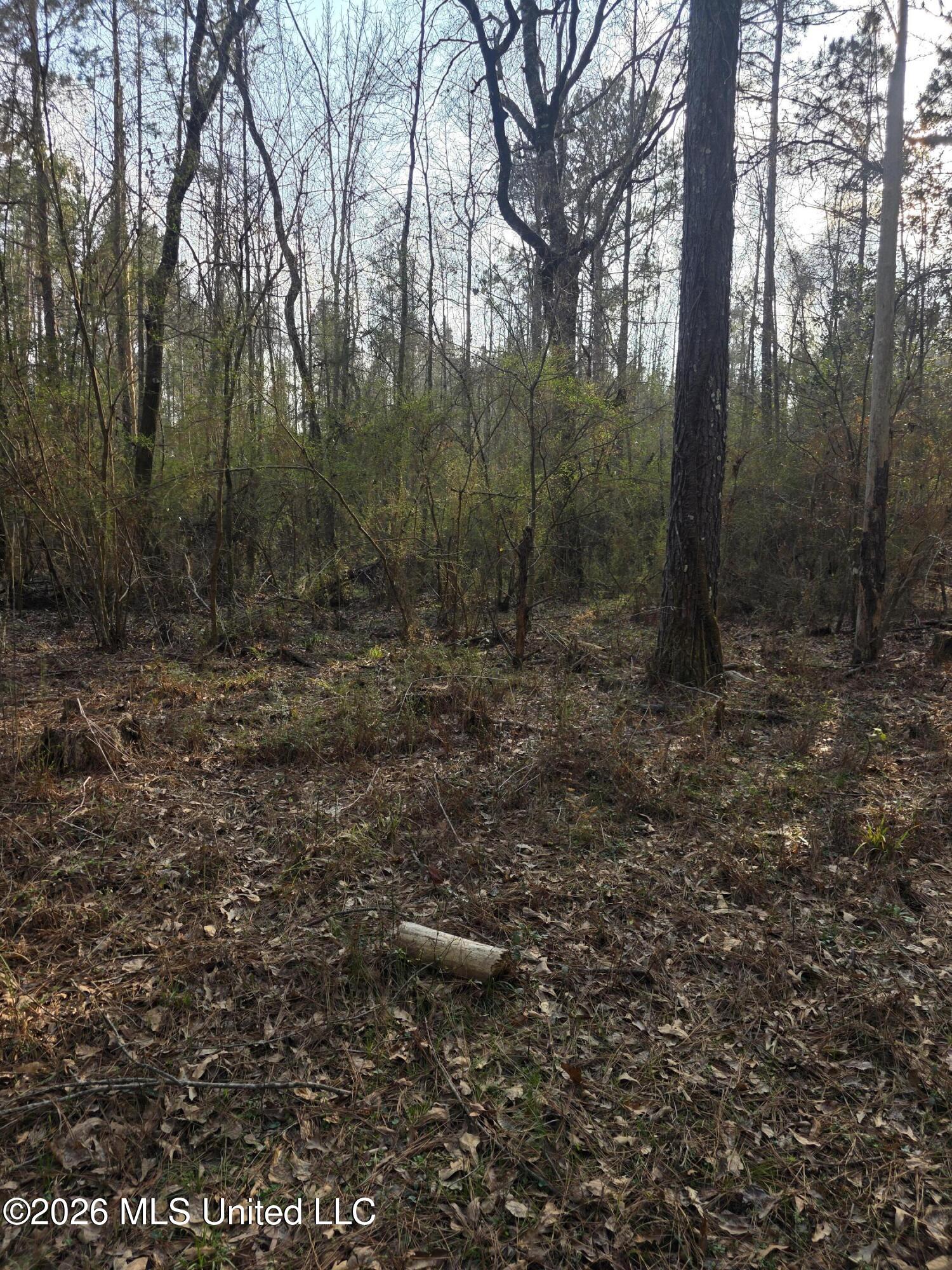 U.s. Highway 51 Property Photo 63