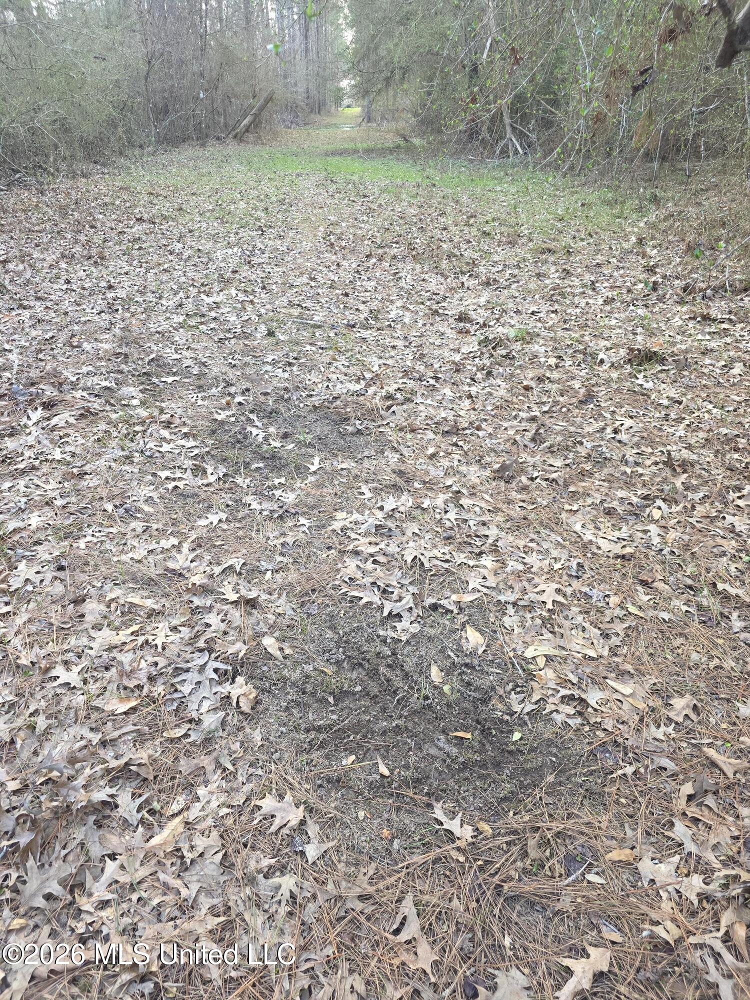 U.s. Highway 51 Property Photo 64