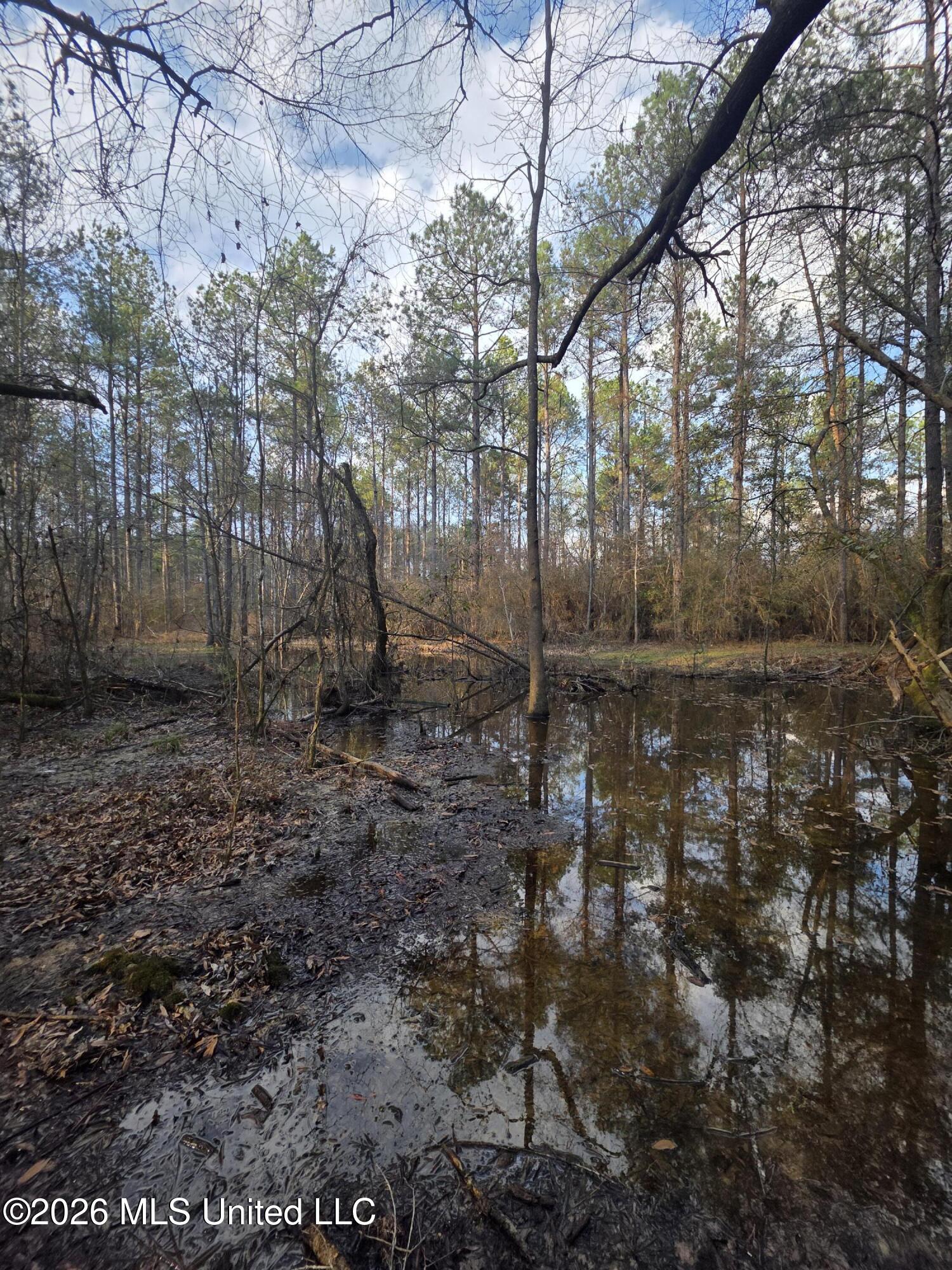 U.s. Highway 51 Property Photo 66