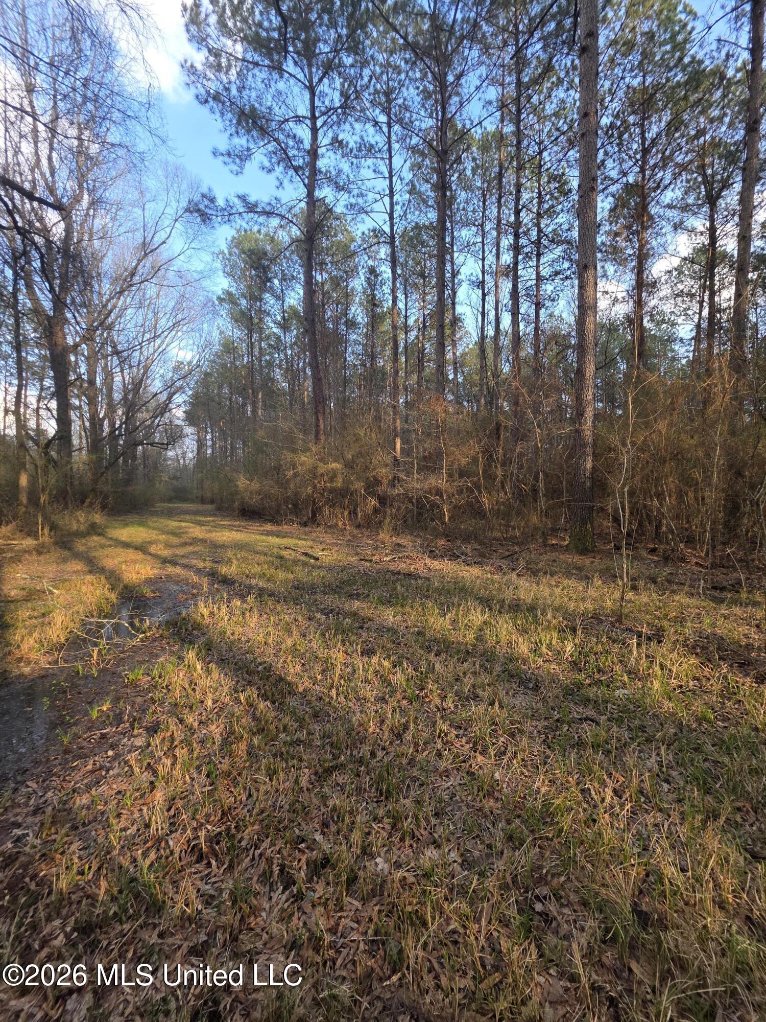U.s. Highway 51 Property Photo 68