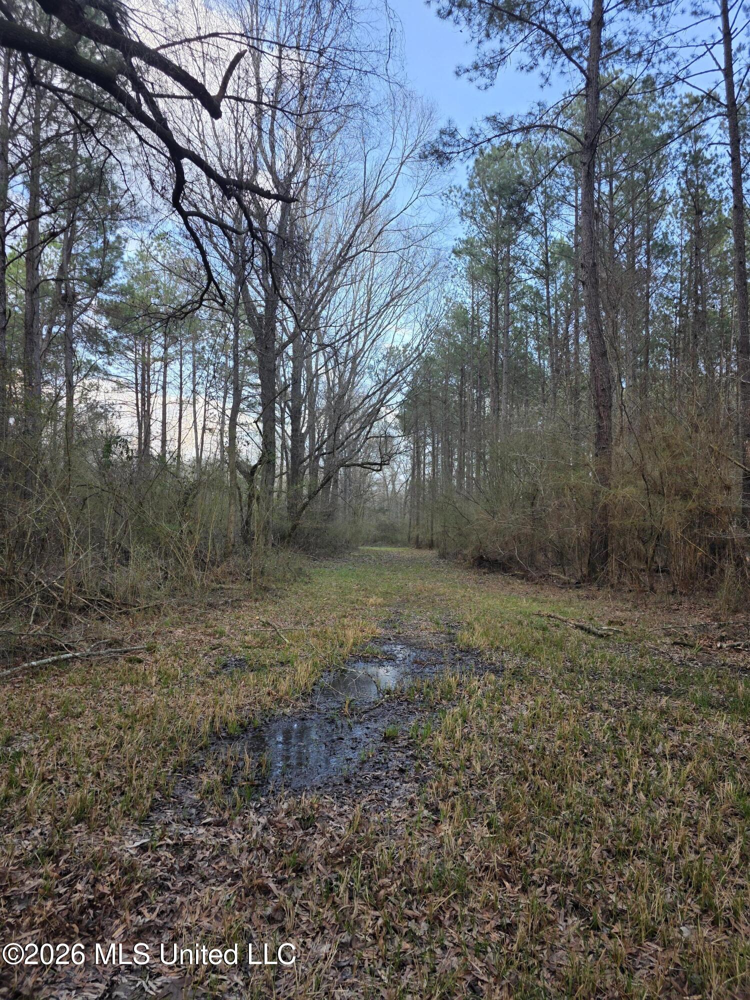 U.s. Highway 51 Property Photo 69