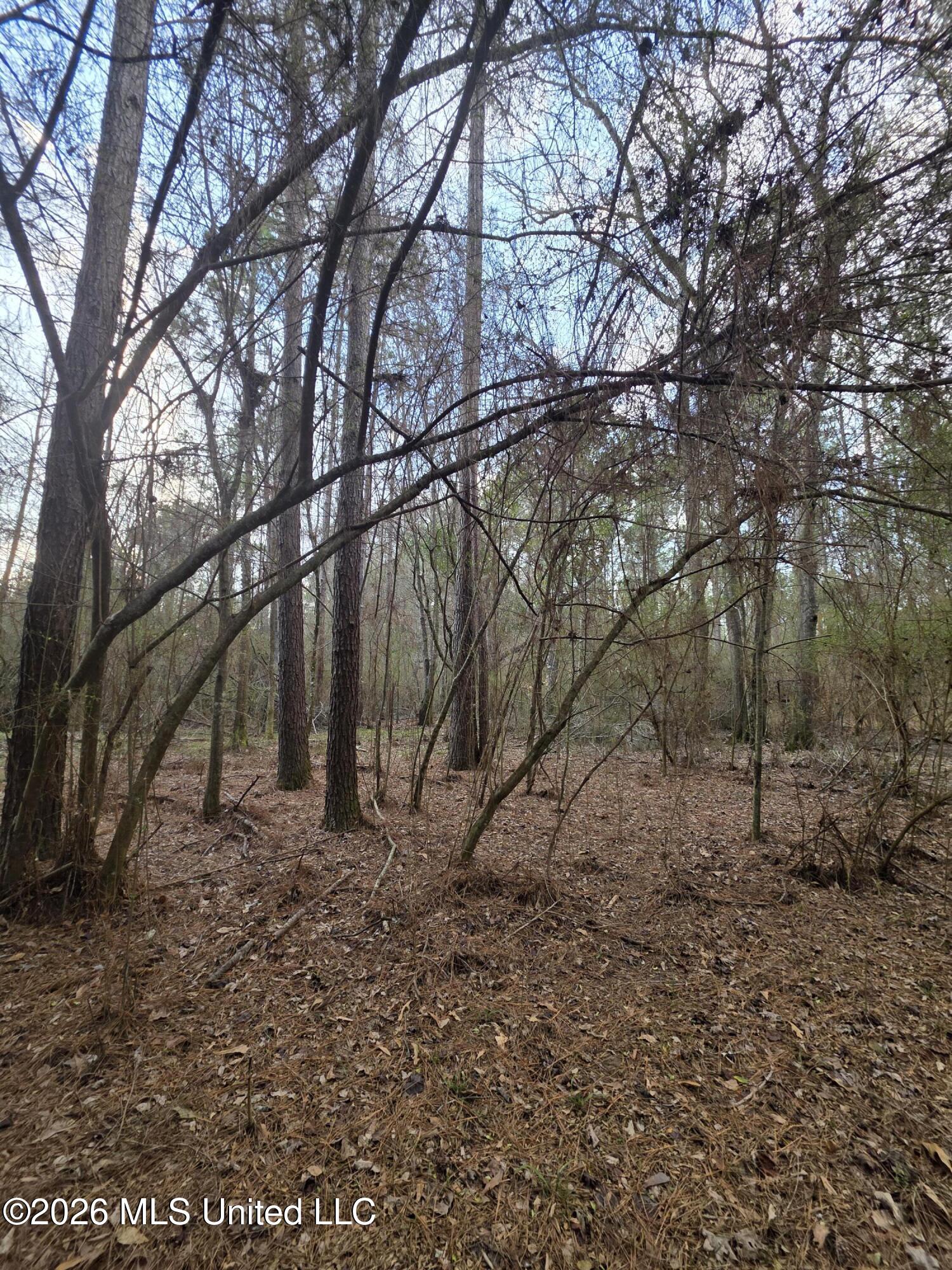 U.s. Highway 51 Property Photo 71