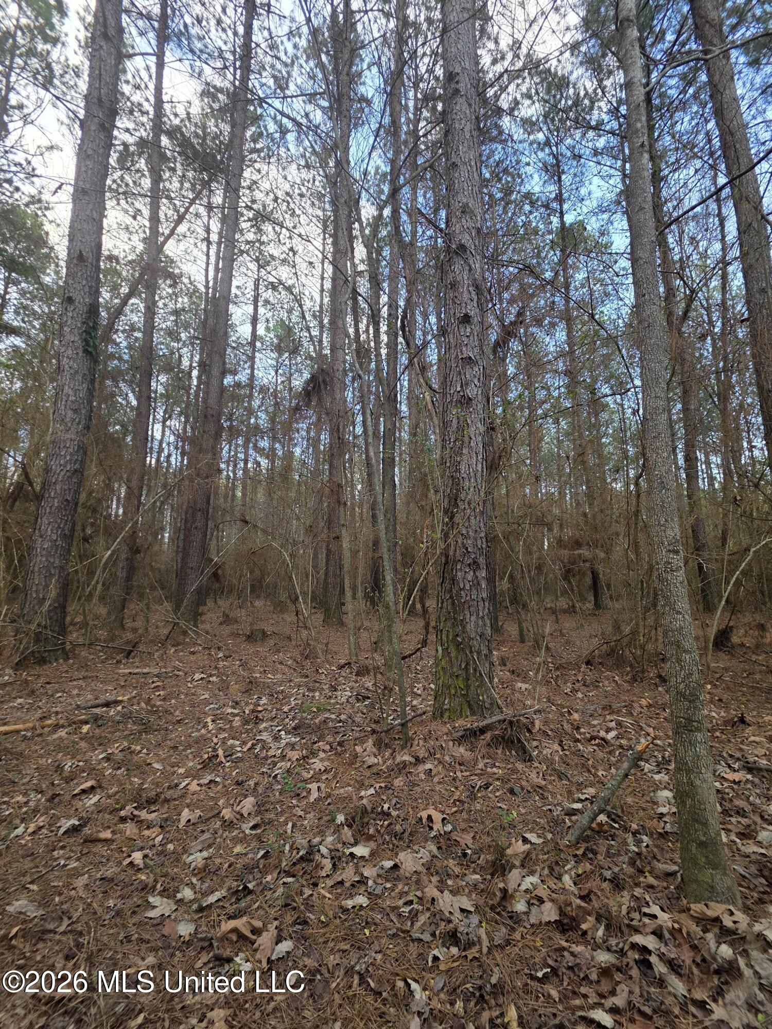 U.s. Highway 51 Property Photo 72