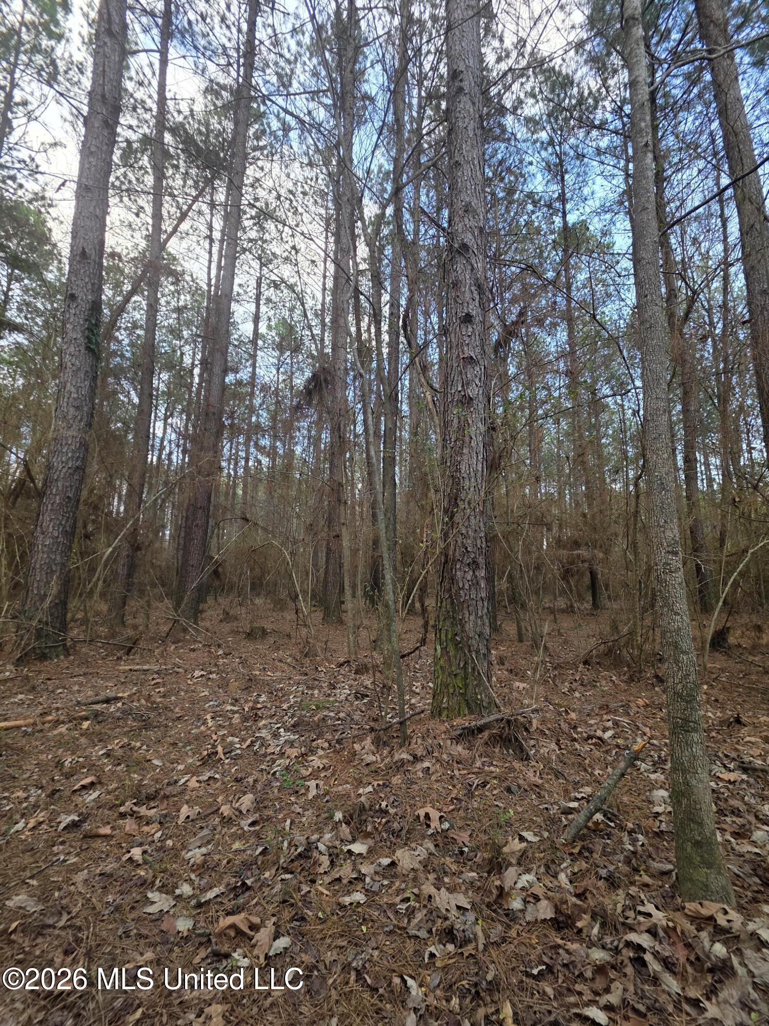 U.s. Highway 51 Property Photo 73