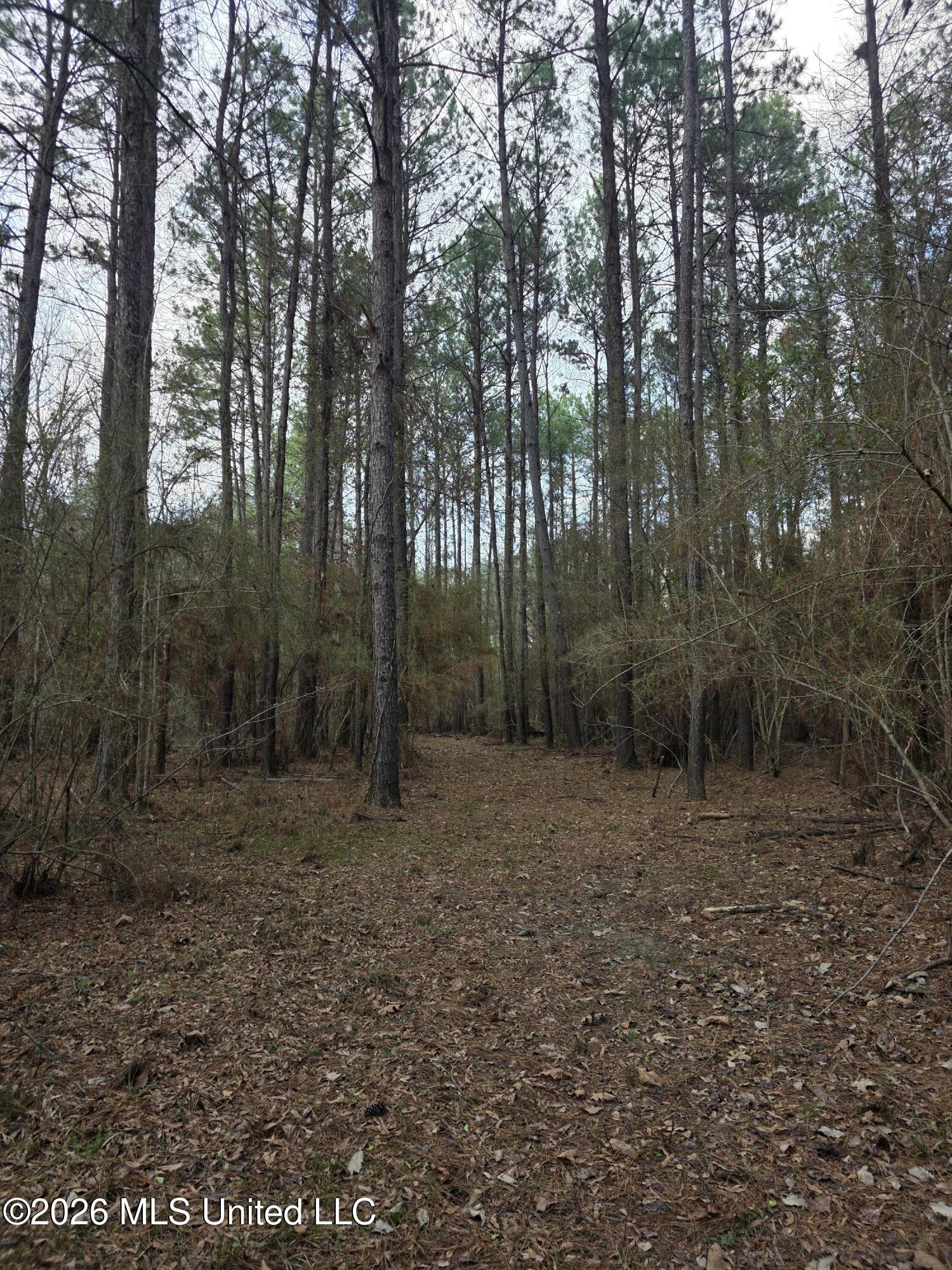 U.s. Highway 51 Property Photo 76