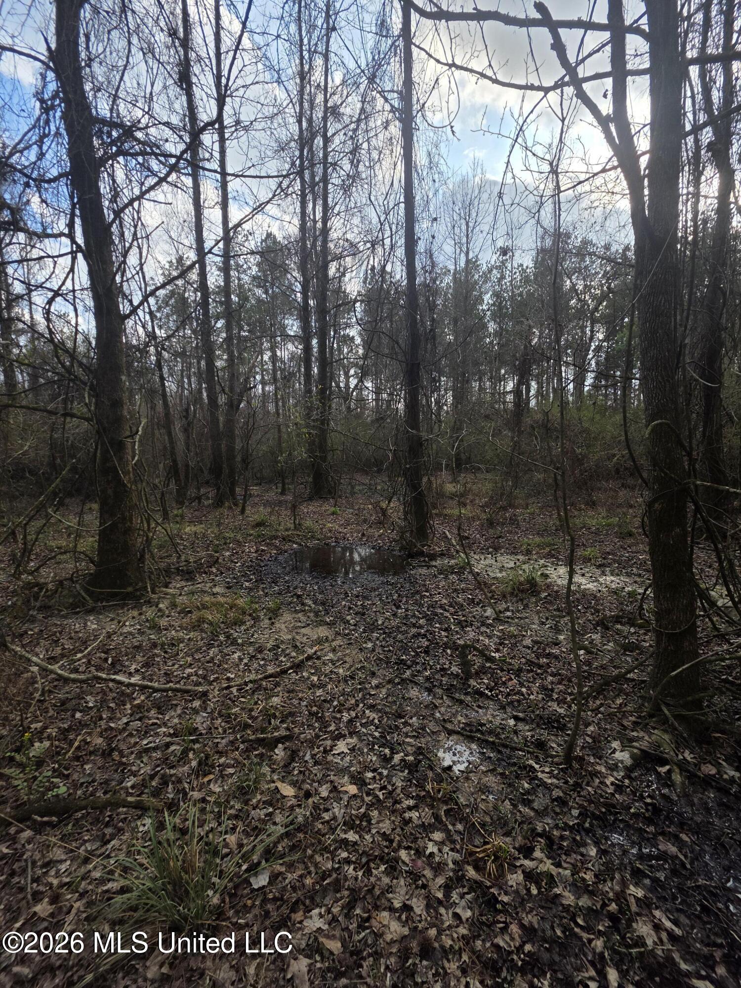 U.s. Highway 51 Property Photo 77