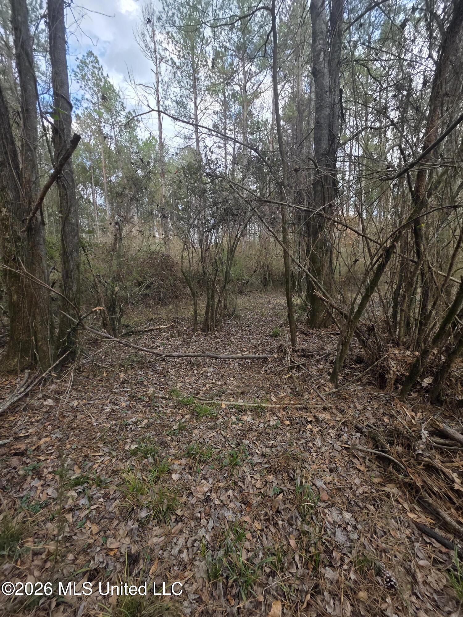 U.s. Highway 51 Property Photo 78