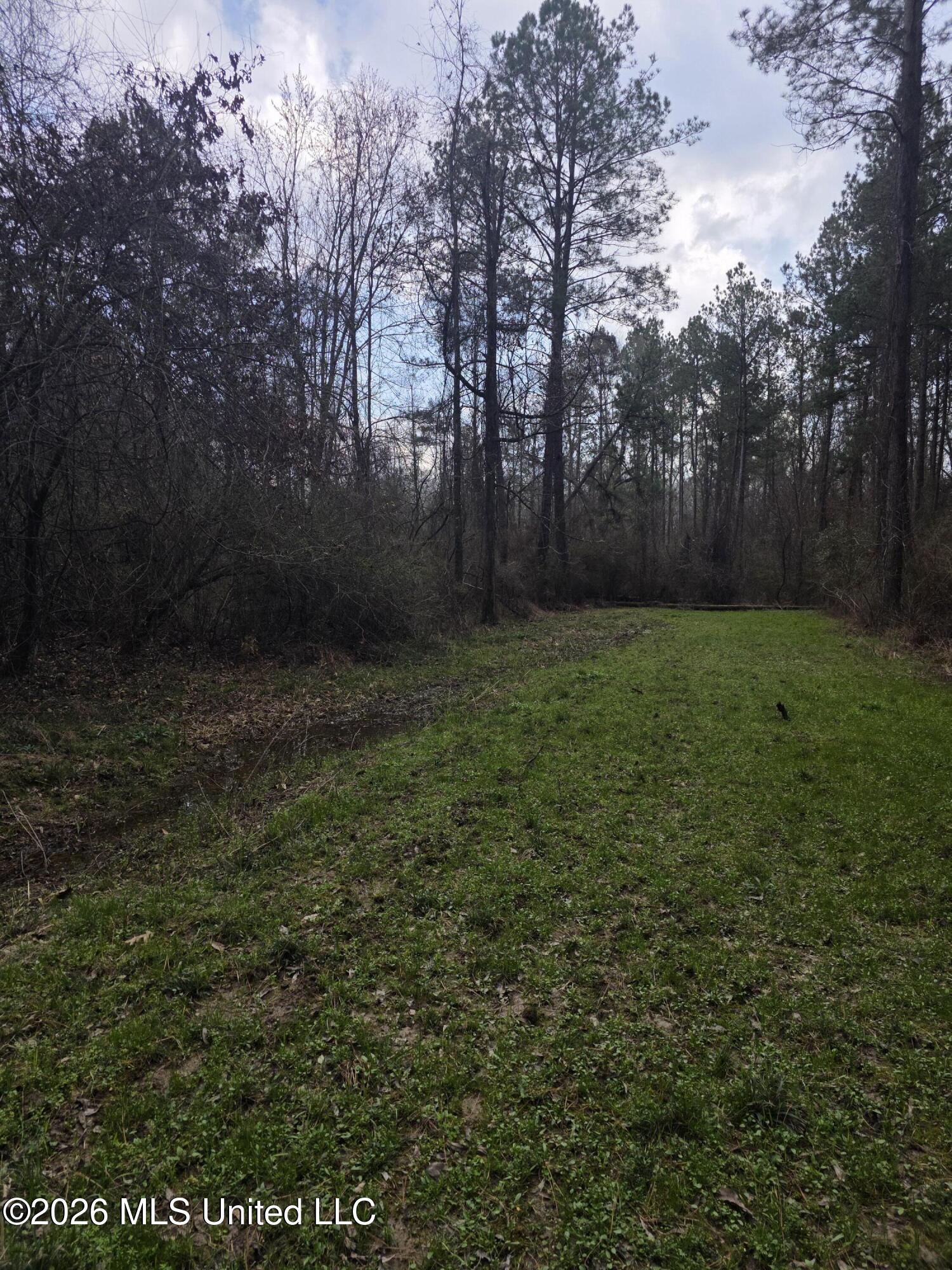 U.s. Highway 51 Property Photo 79