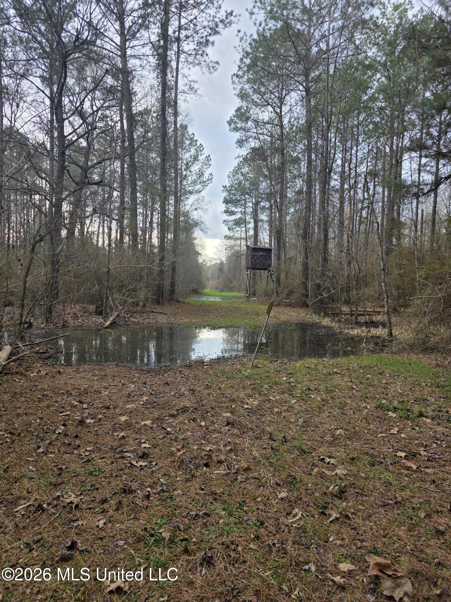 U.s. Highway 51 Property Photo 82