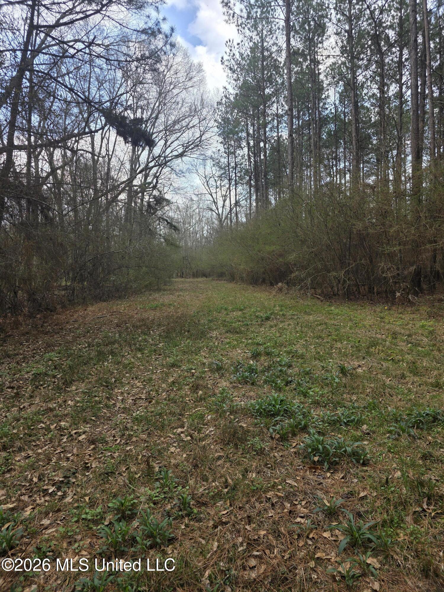 U.s. Highway 51 Property Photo 85