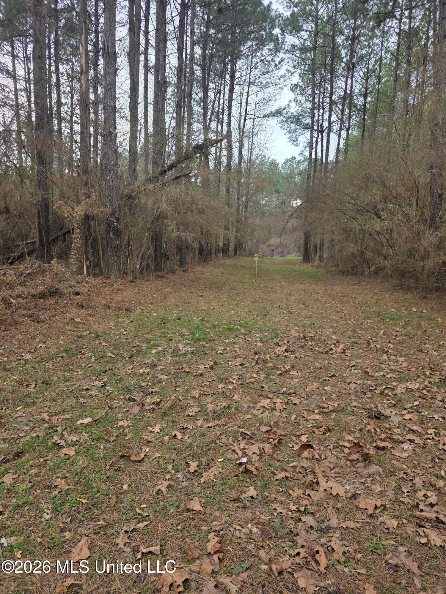 U.s. Highway 51 Property Photo 86