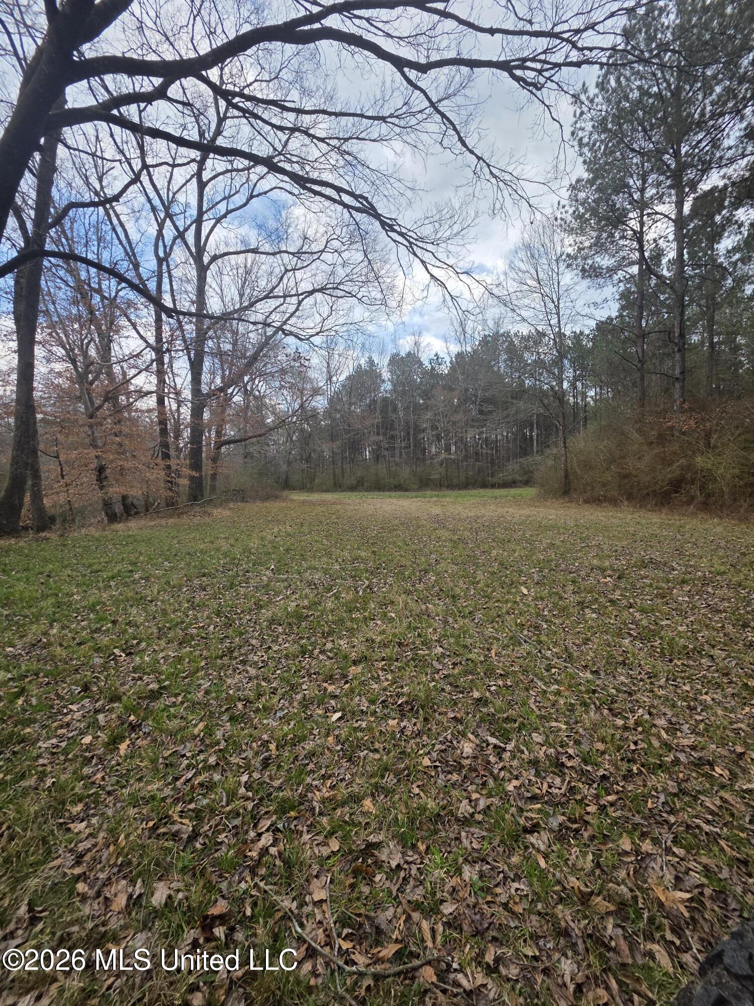 U.s. Highway 51 Property Photo 87