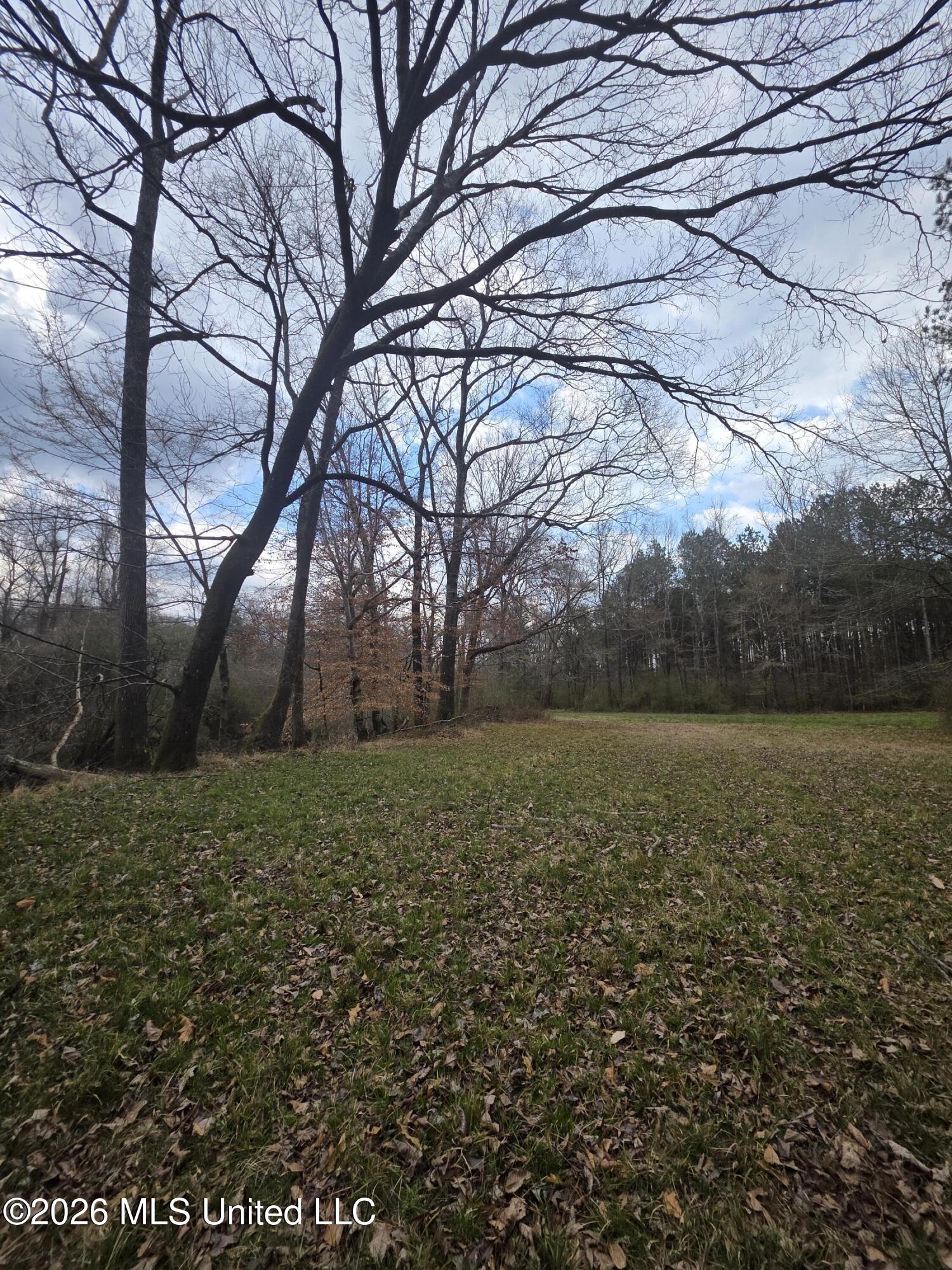 U.s. Highway 51 Property Photo 88