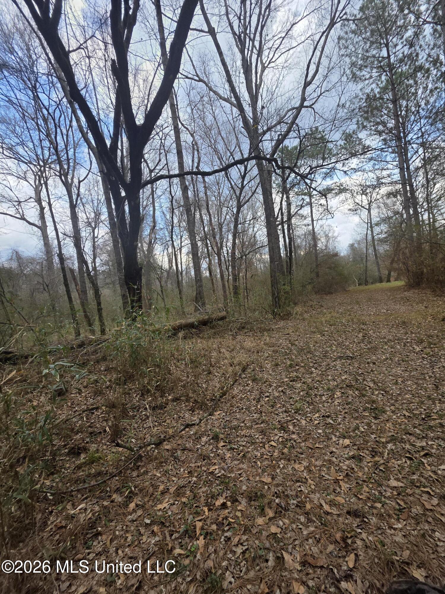 U.s. Highway 51 Property Photo 89
