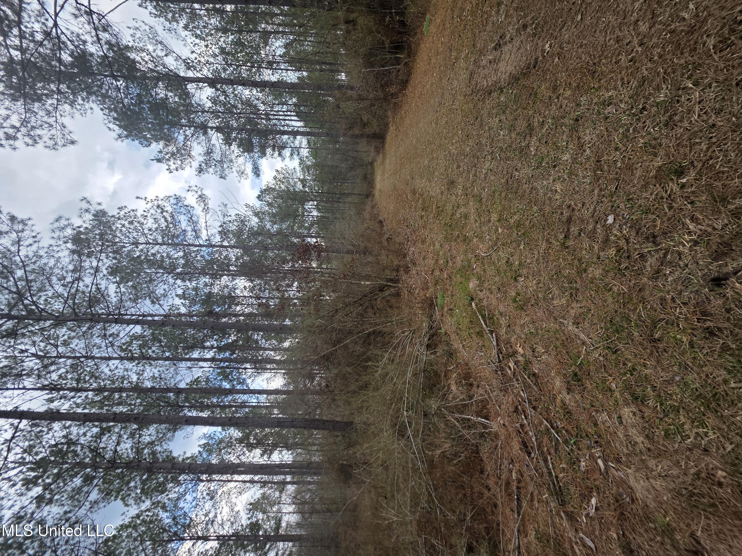 U.s. Highway 51 Property Photo 93