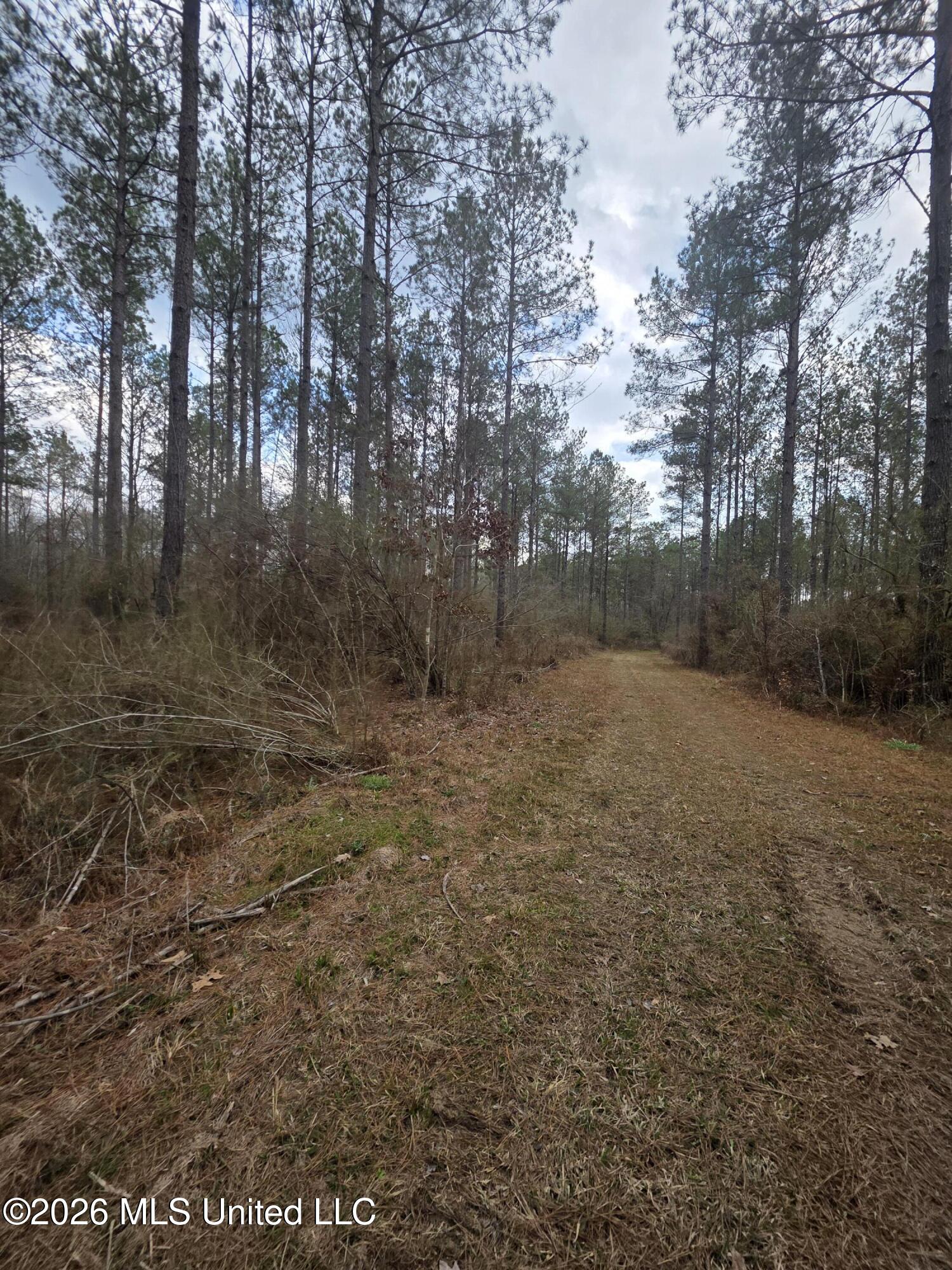 U.s. Highway 51 Property Photo 94
