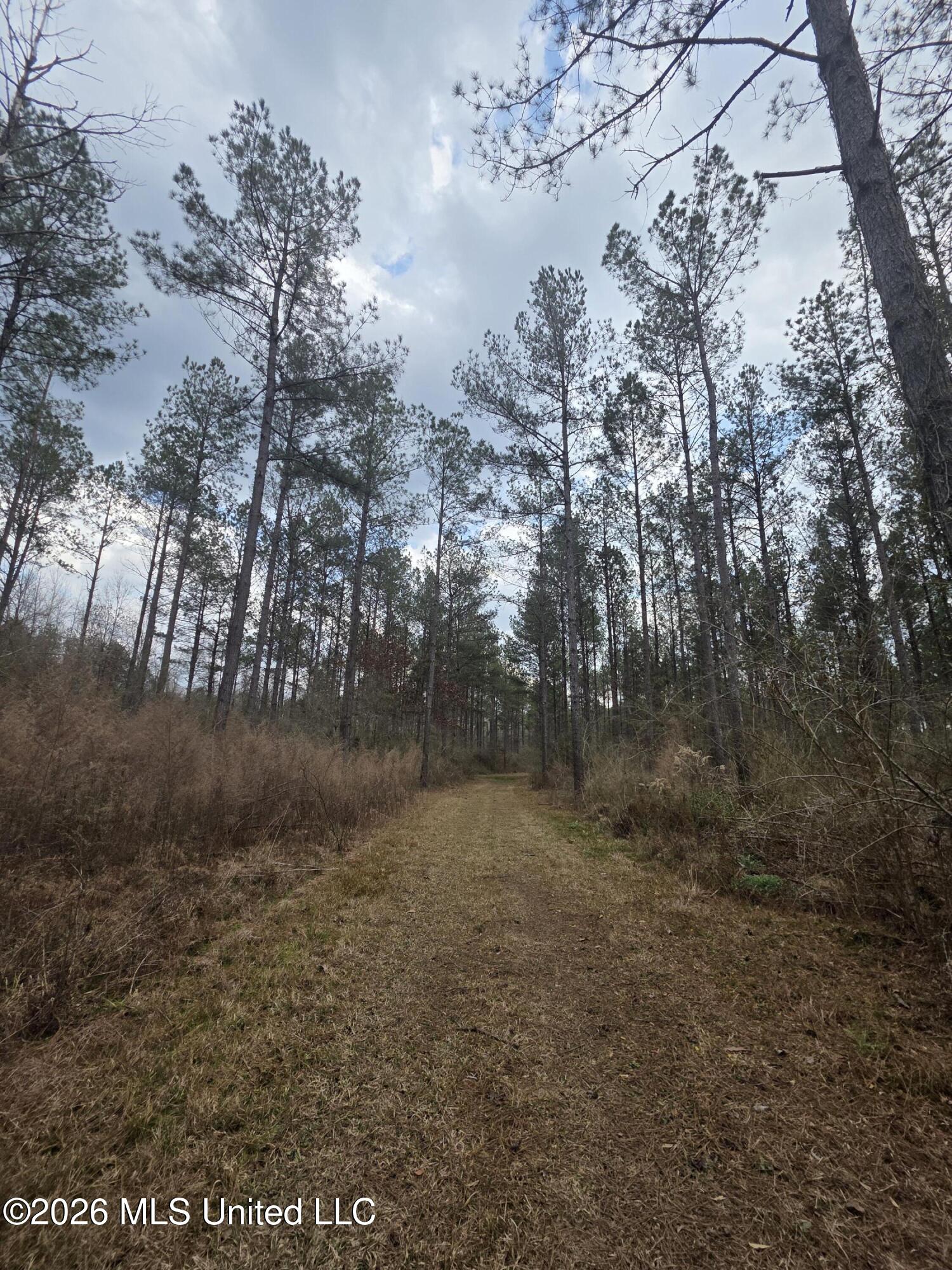 U.s. Highway 51 Property Photo 95