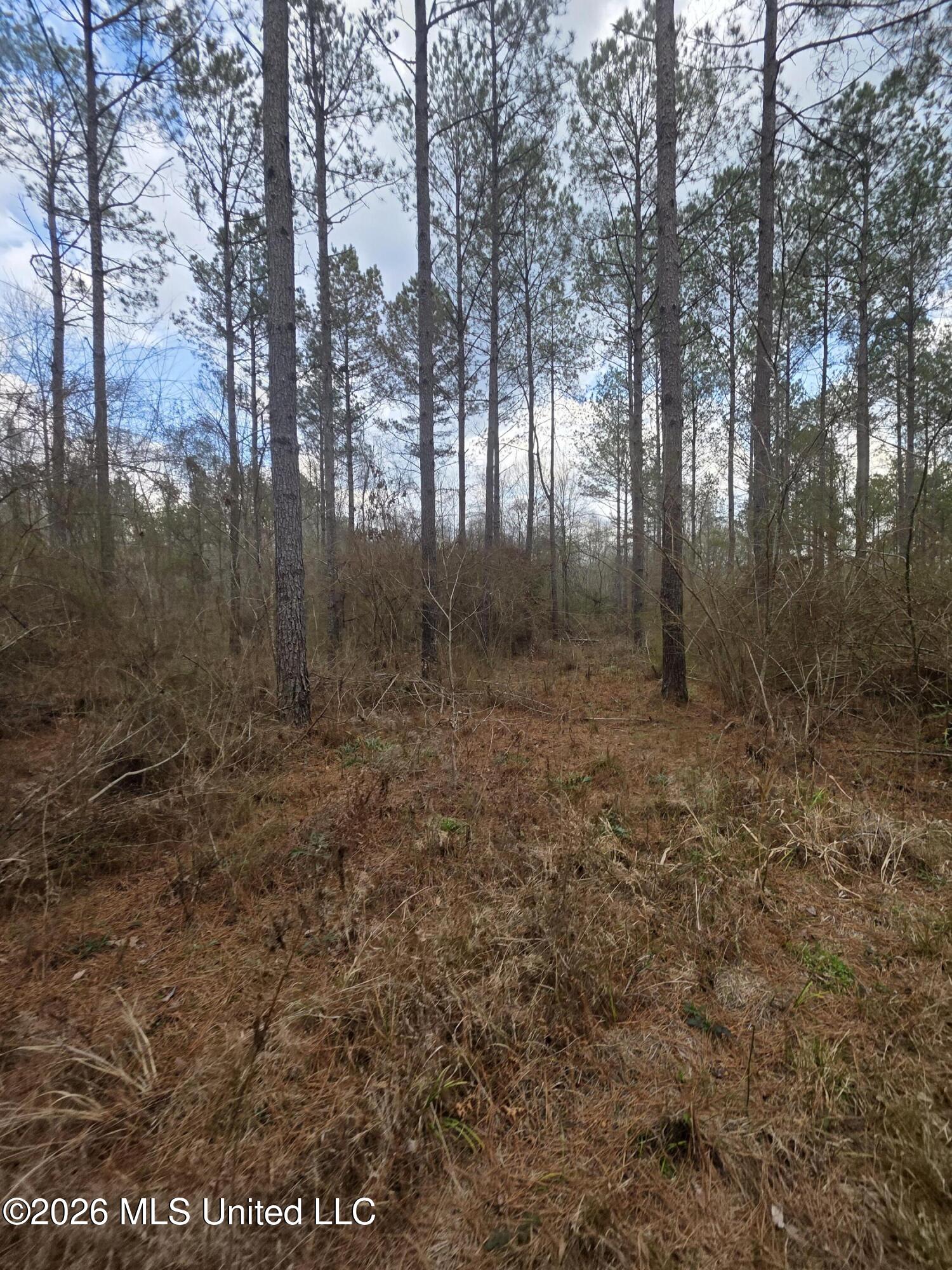 U.s. Highway 51 Property Photo 96